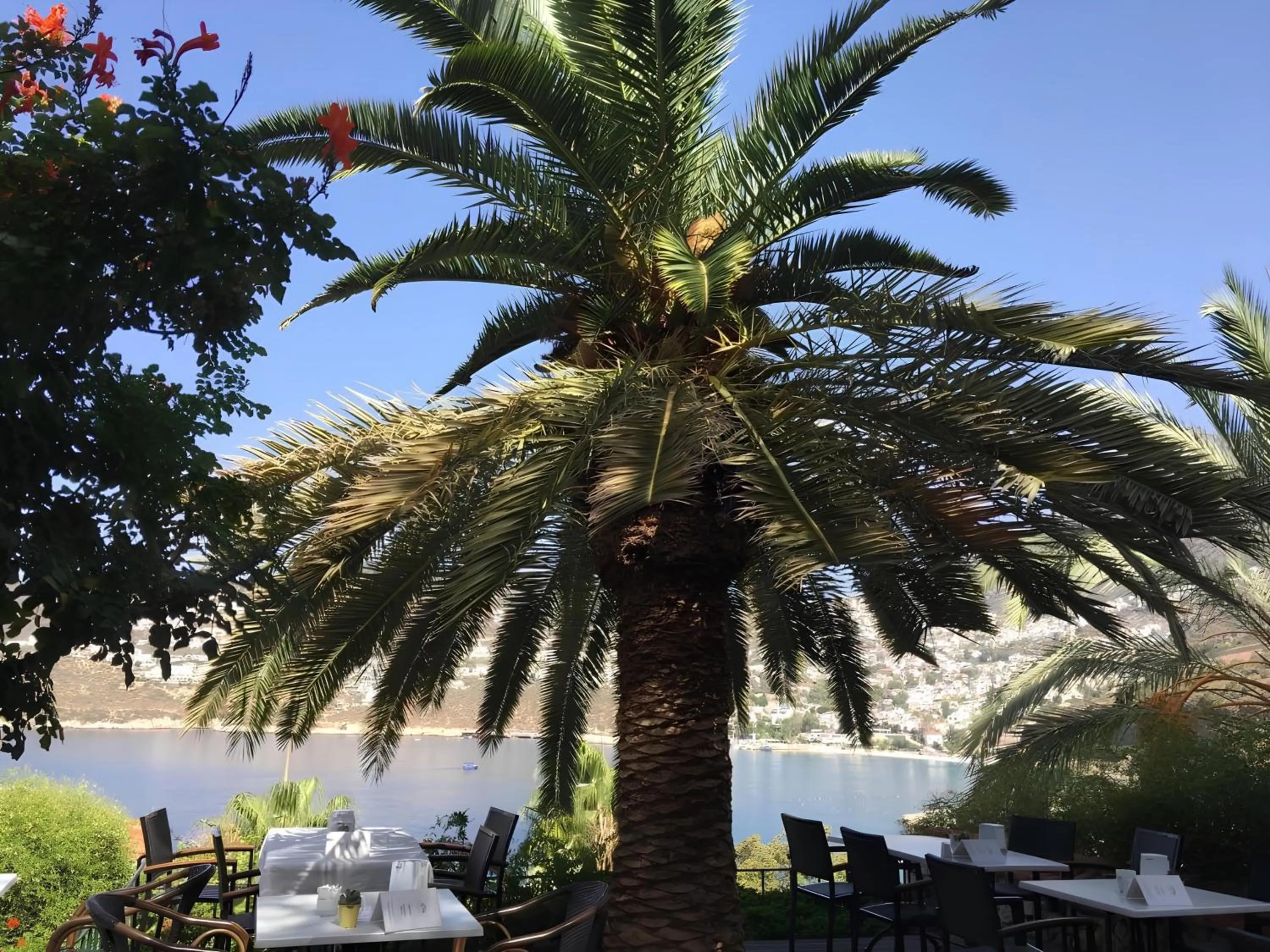 Patara Prince Hotel & Resort - Special Category