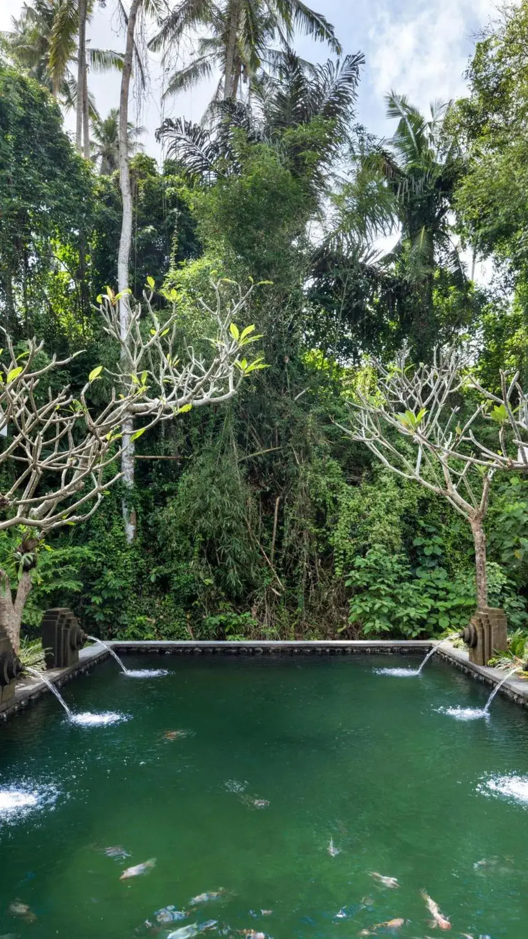 Property building in Adiwana Unagi Riverfront Property building in Adiwana Unagi Riverfront