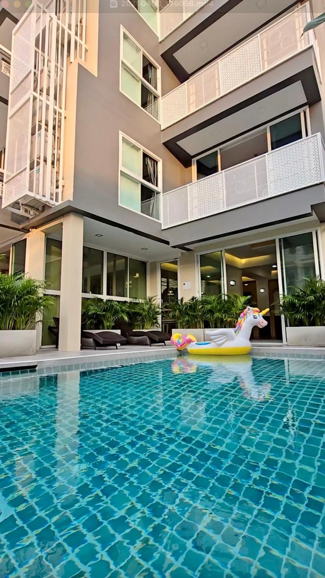 Swimming pool in Charm Hostel at Pratumnak