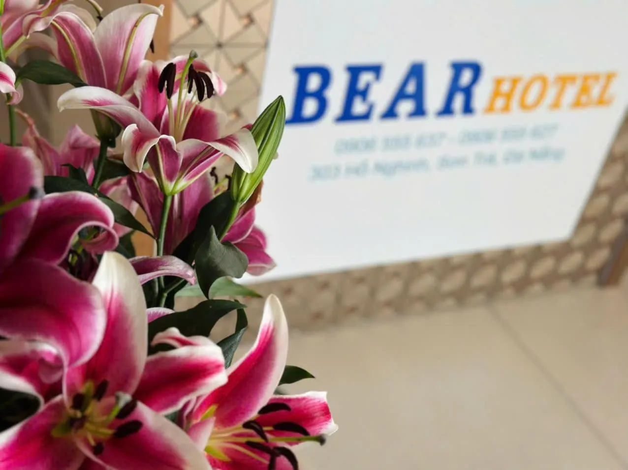 Bear Hotel & Homestay
