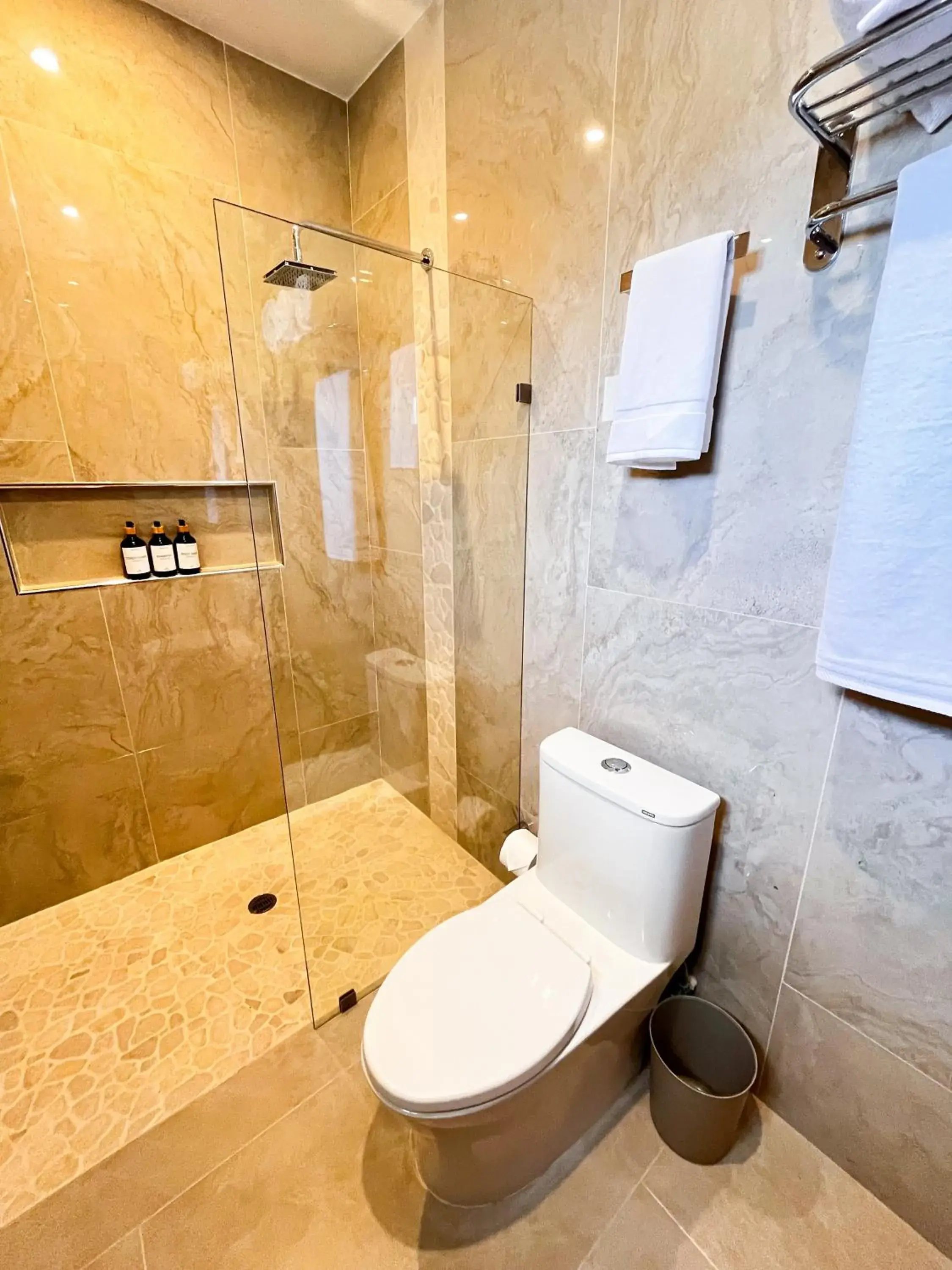 Shower in Hotel Loreto Palmar Shower in Hotel Loreto Palmar