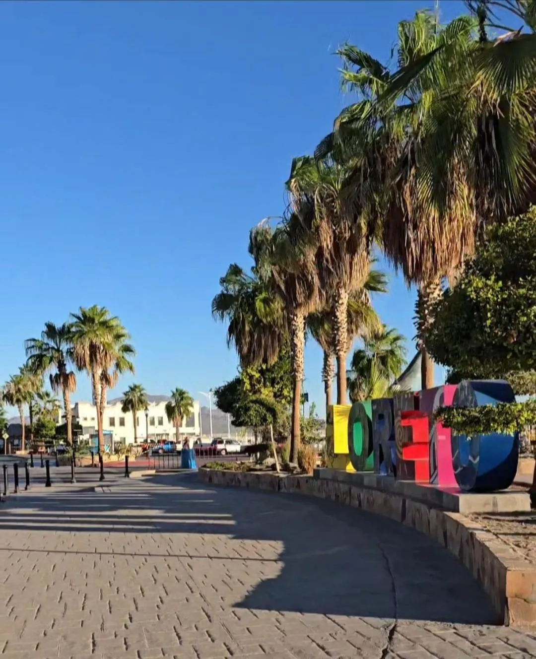 City view in Hotel Loreto Palmar