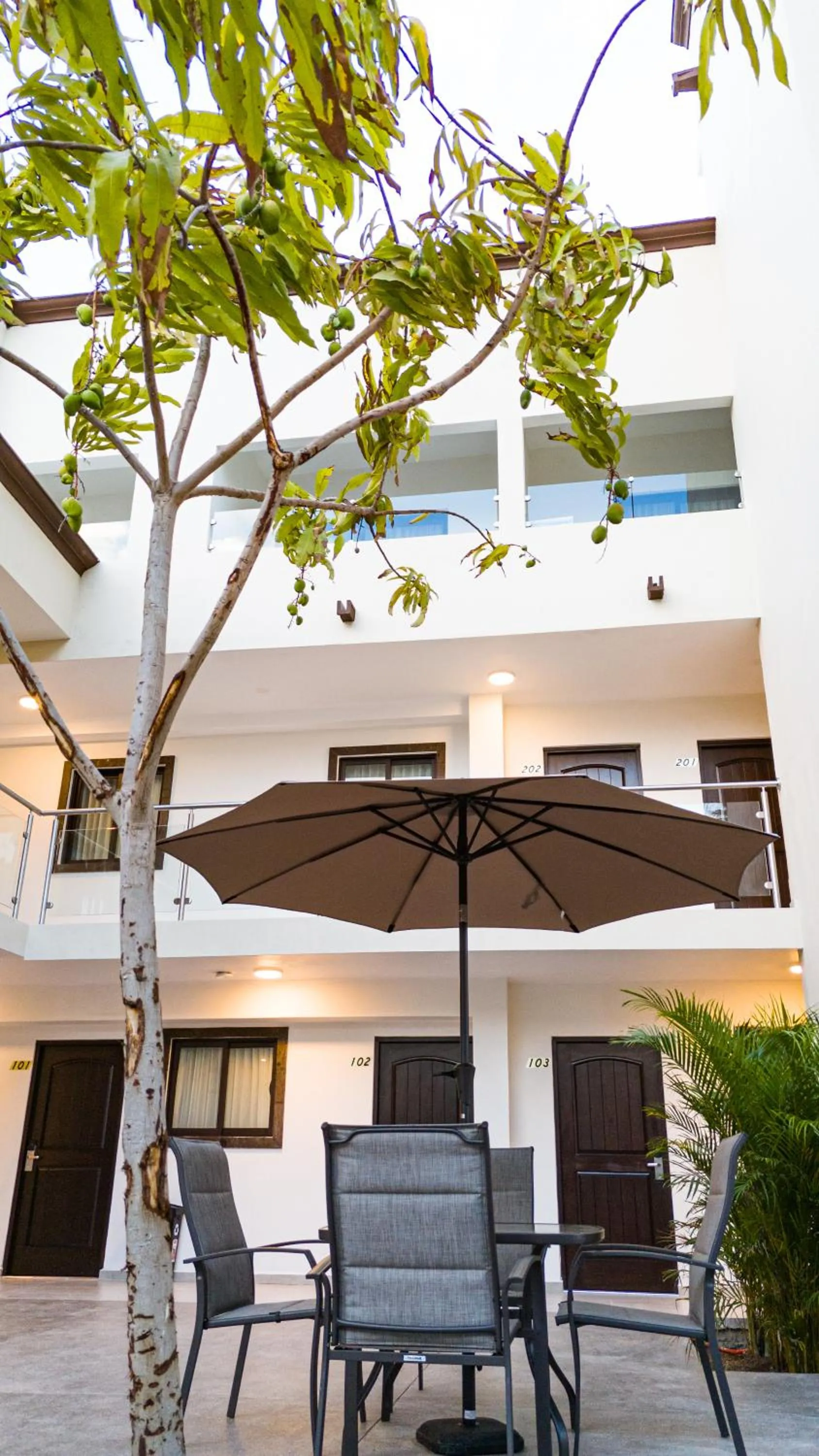 Patio in Hotel Loreto Palmar