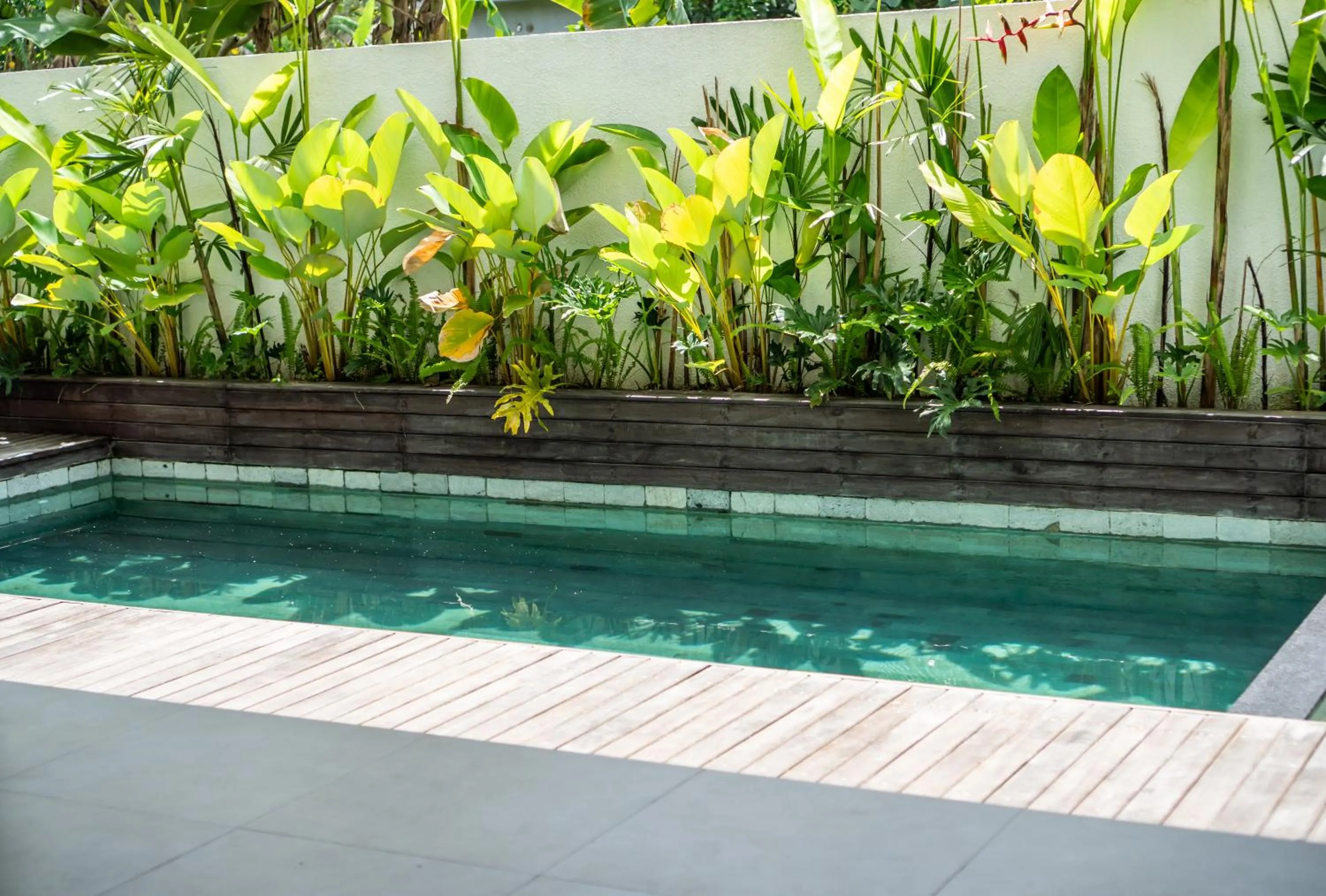 Garden in Kemari Ubud