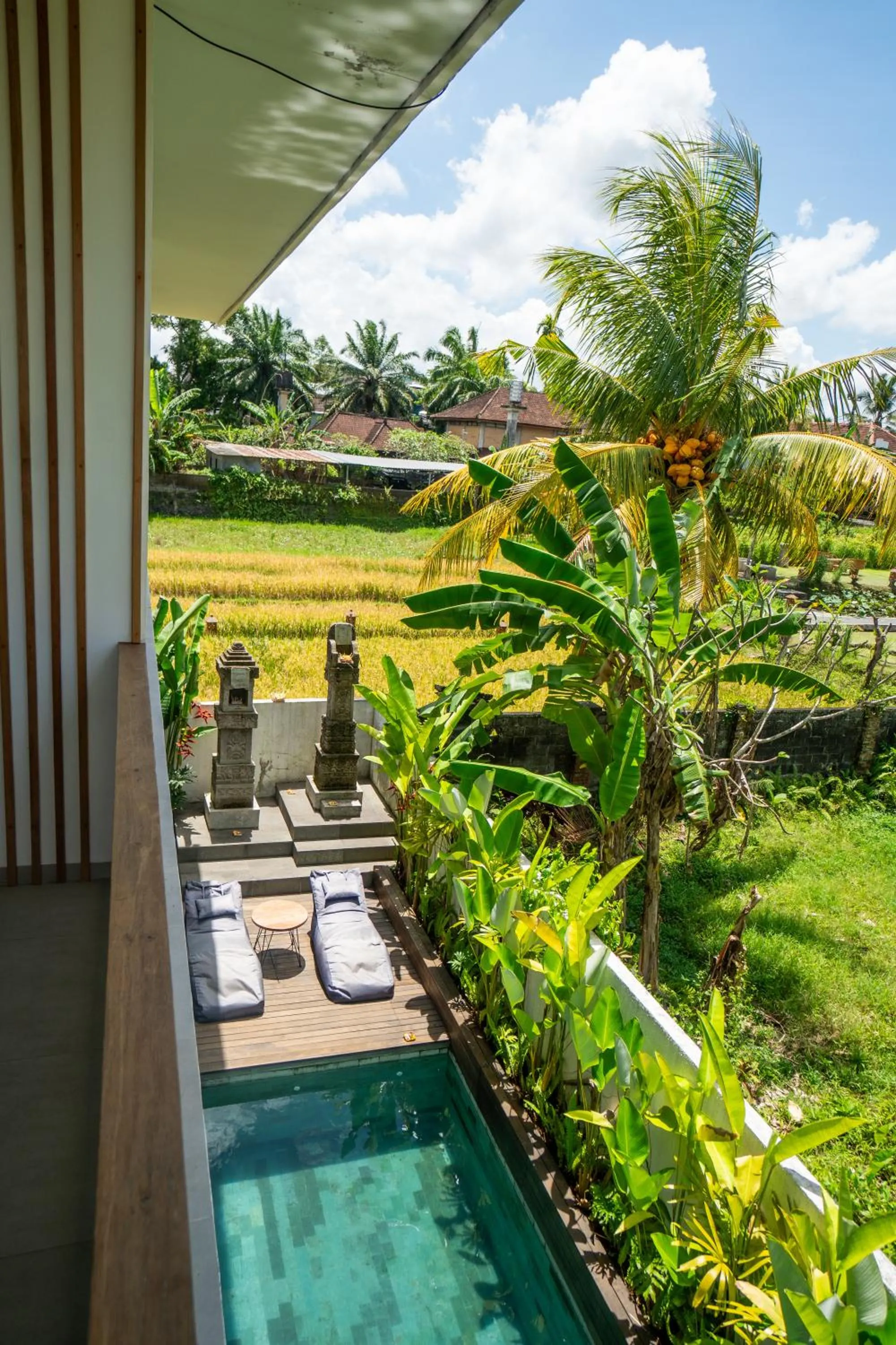 View (from property/room) in Kemari Ubud