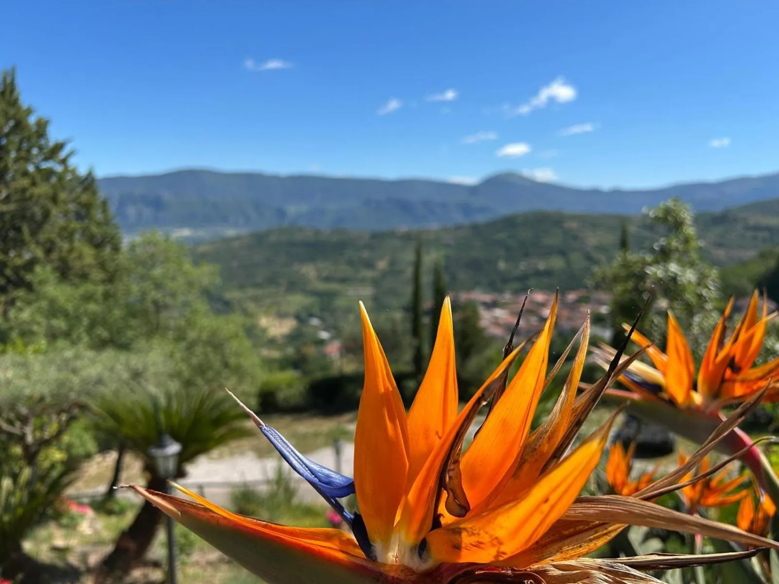 Garden in B&B Albachiara Casa di Campagna