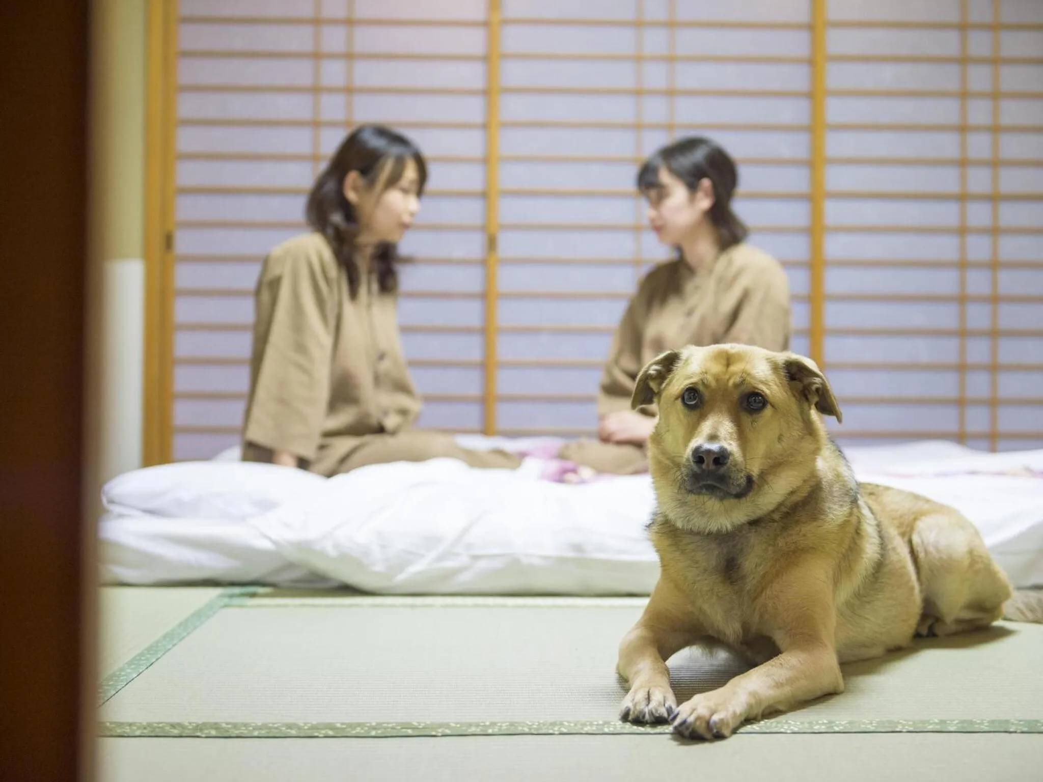 Pets in Matsusaka Wan Wan Paradise Forest Hotel