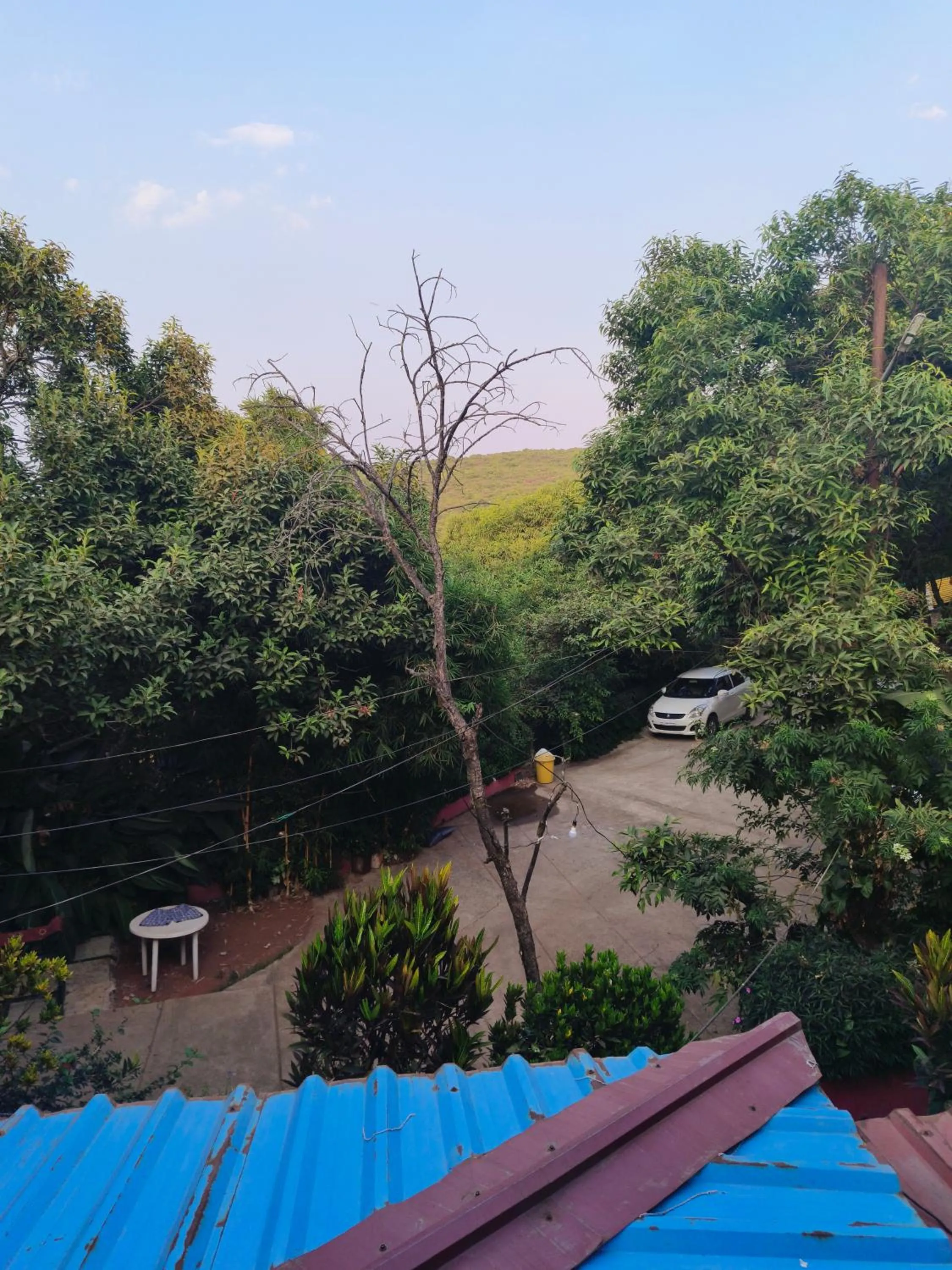 Garden in Girichintan Bunglow