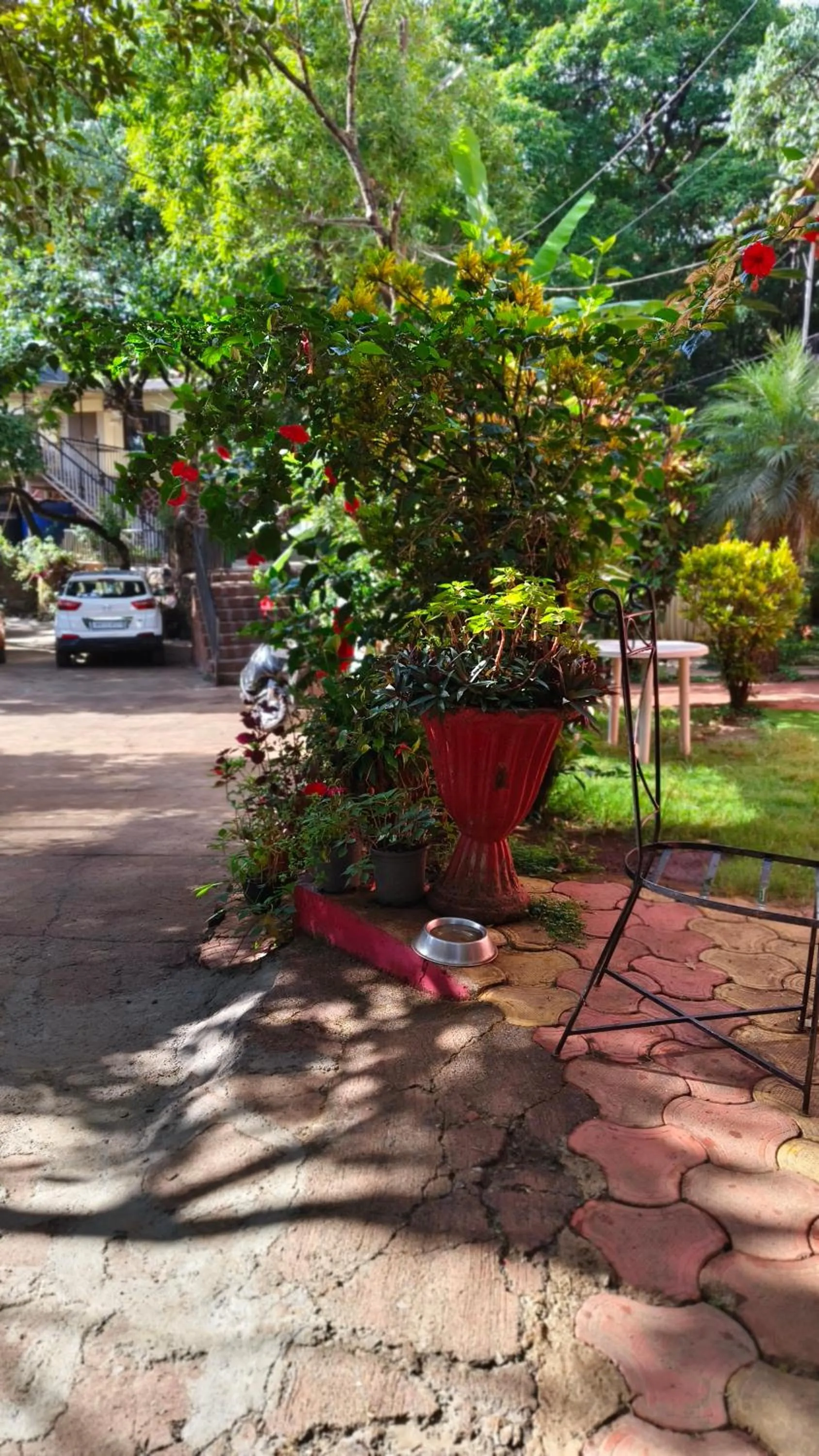 Garden view in Girichintan Bunglow