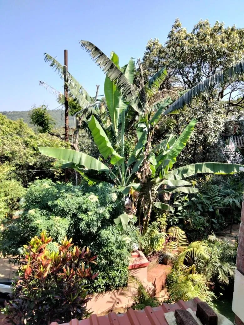 Garden view in Girichintan Bunglow