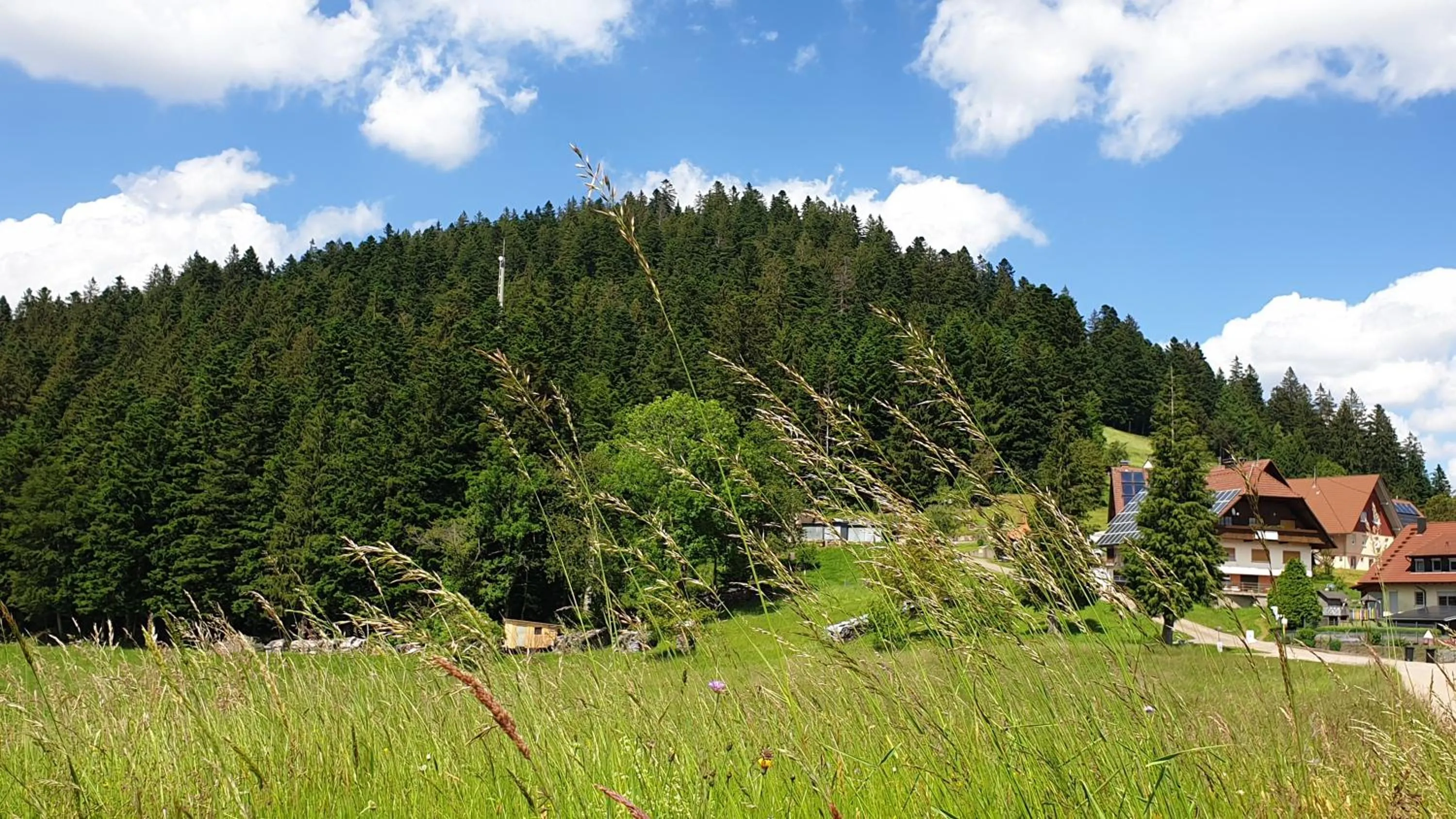Sandras Bergstation