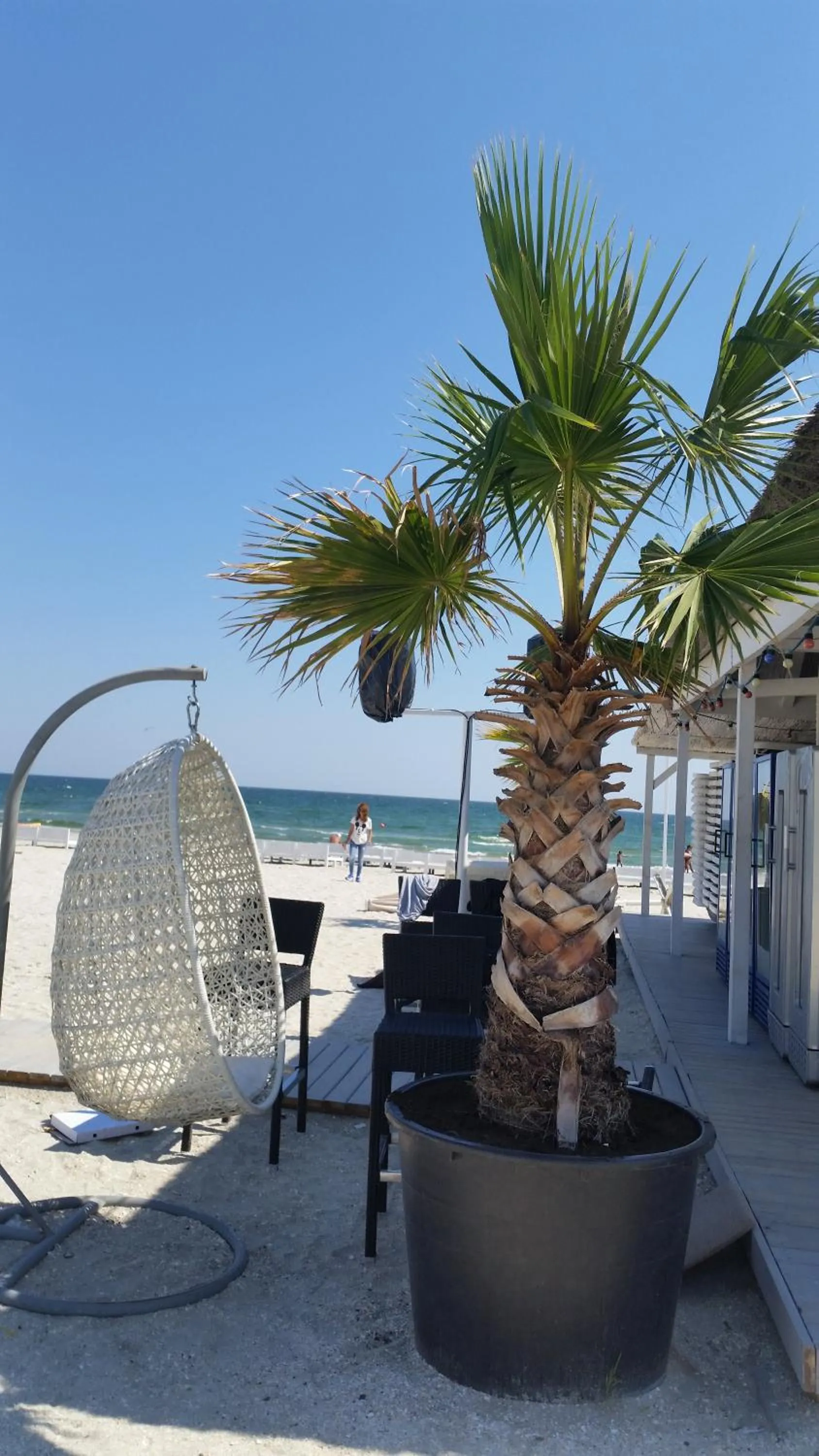 Beach in Apartment Siracuza Mamaia Nord