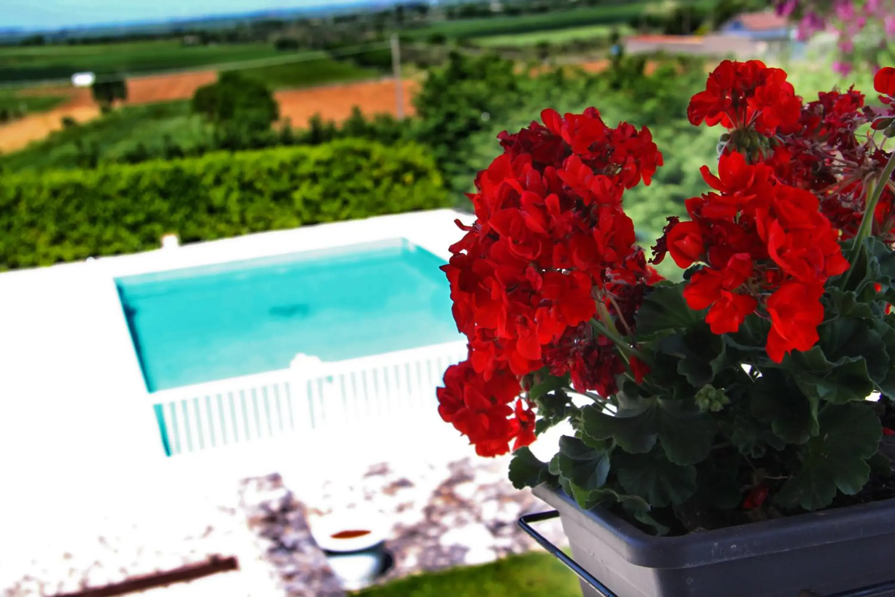Miramurgia B&B Miramurgia B&B