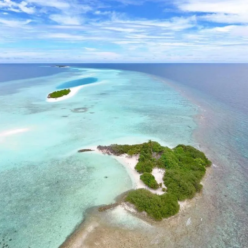 Beach in Palm Residence