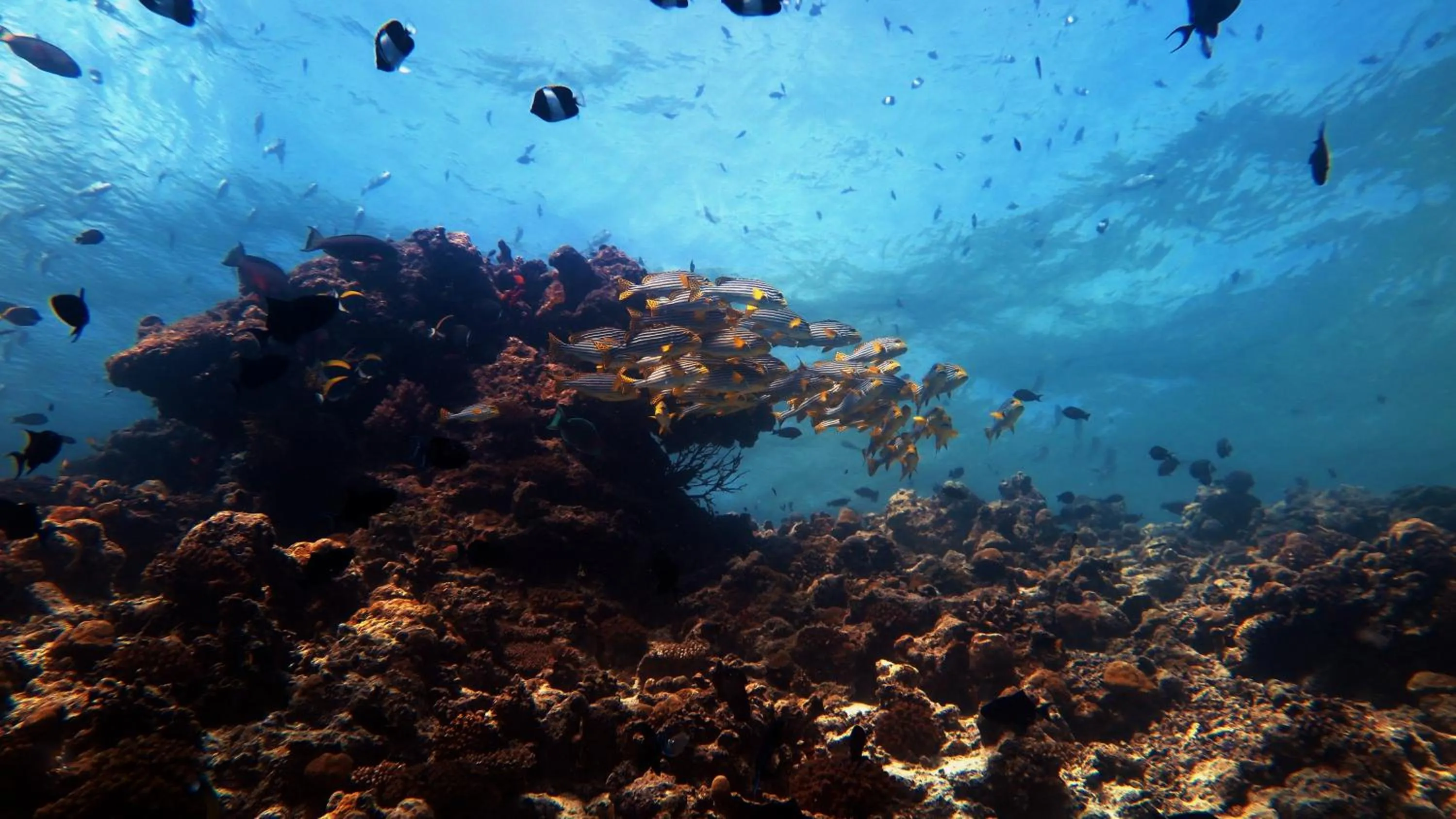 Activities in Palm Residence