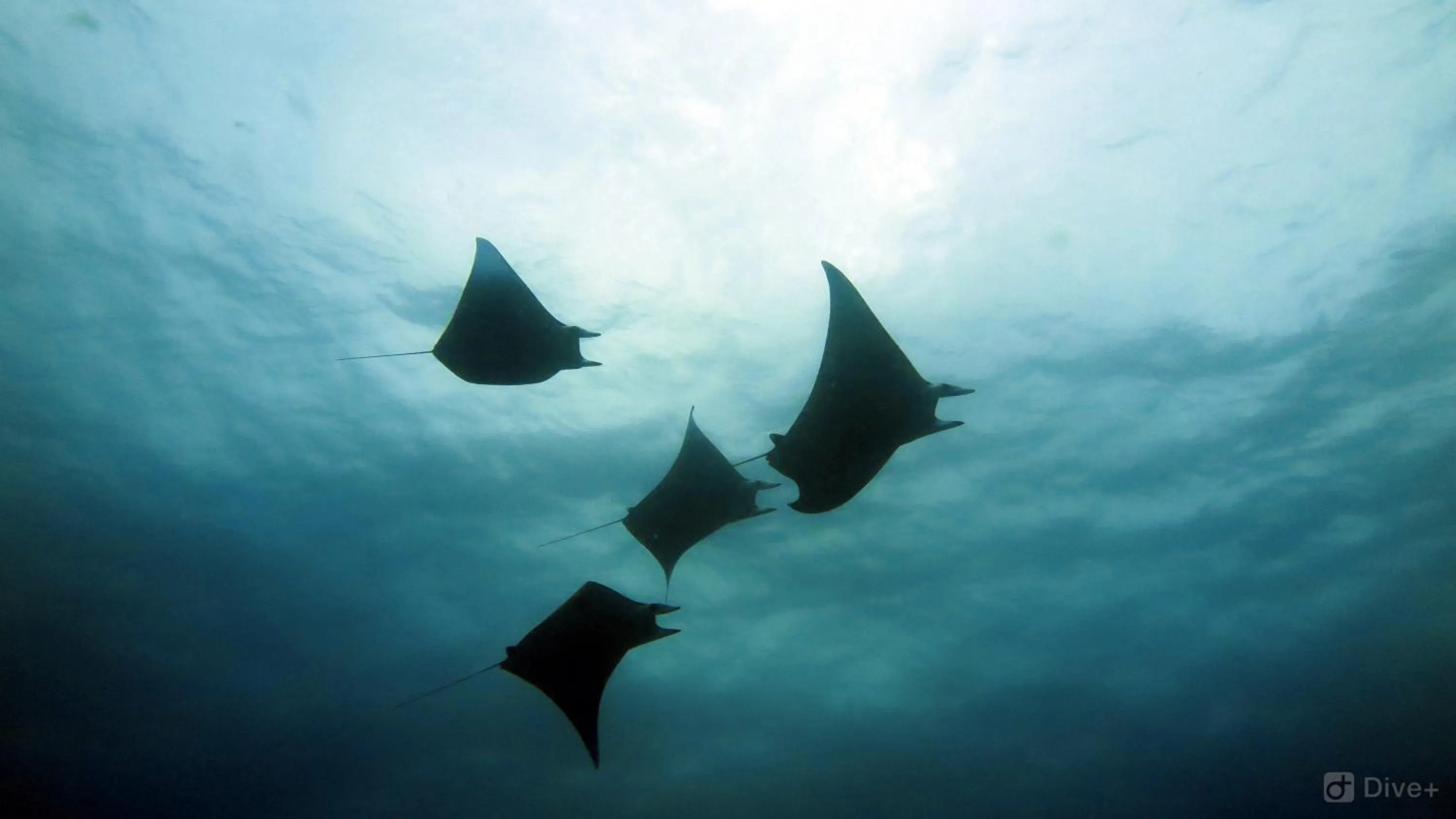 Activities in Palm Residence