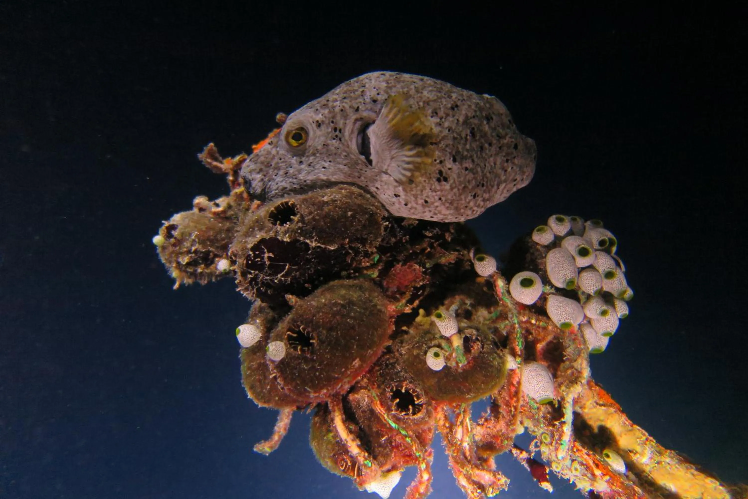 Activities in Palm Residence