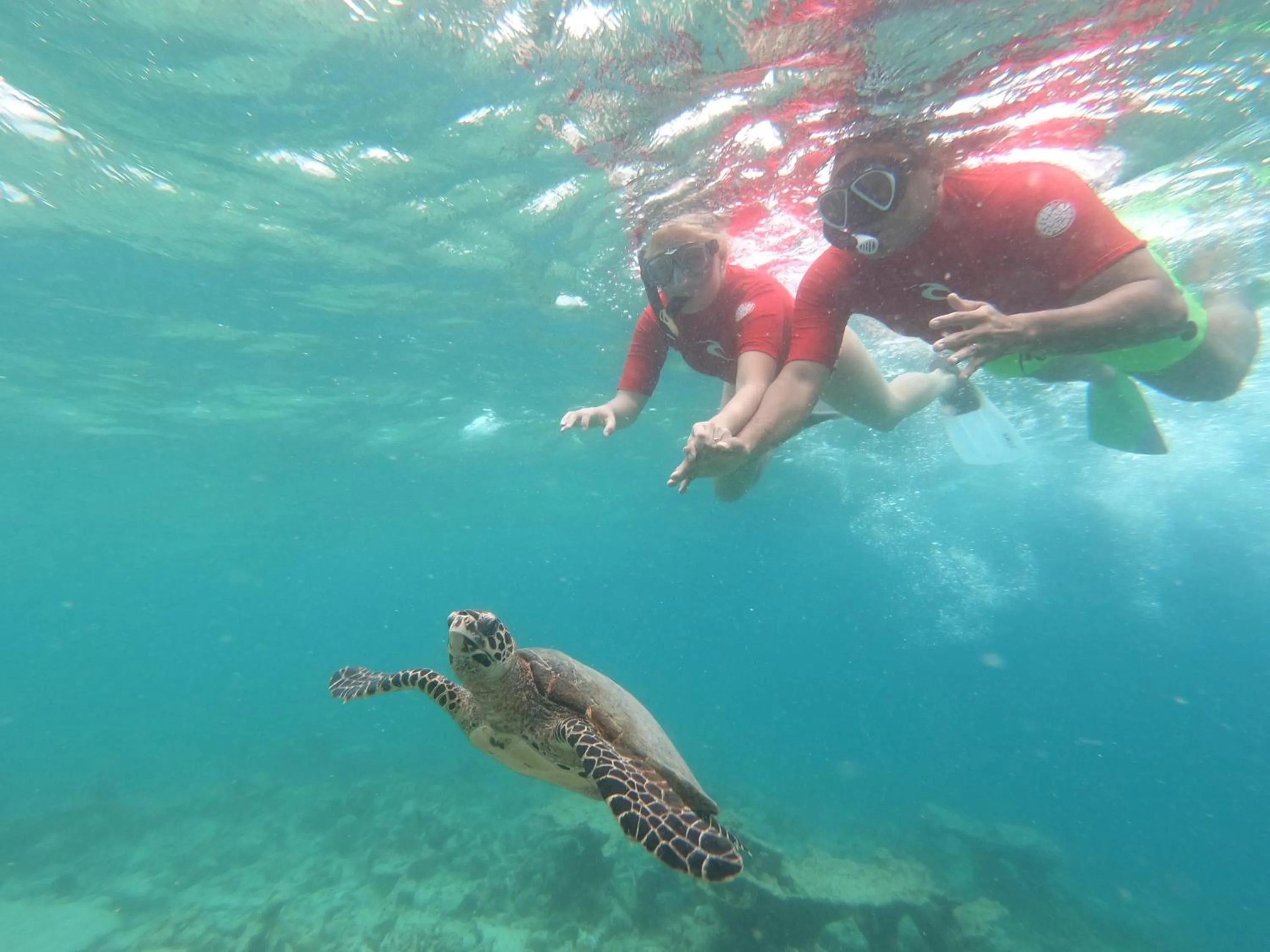 Snorkeling in Palm Residence