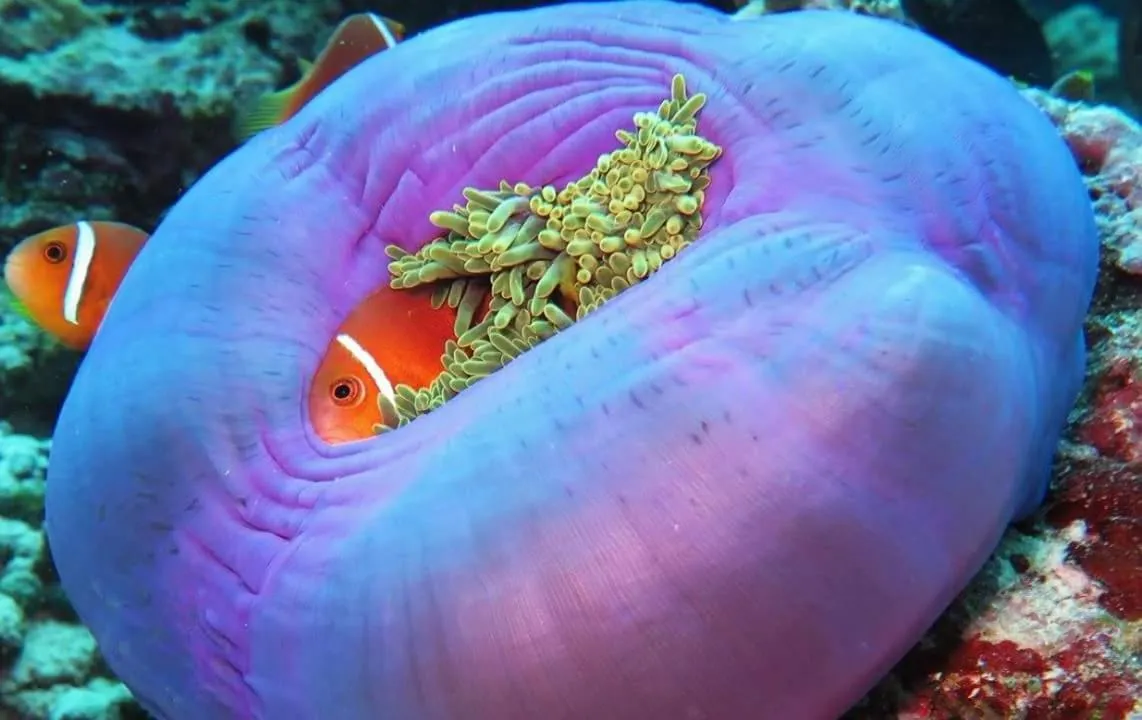 Activities in Palm Residence