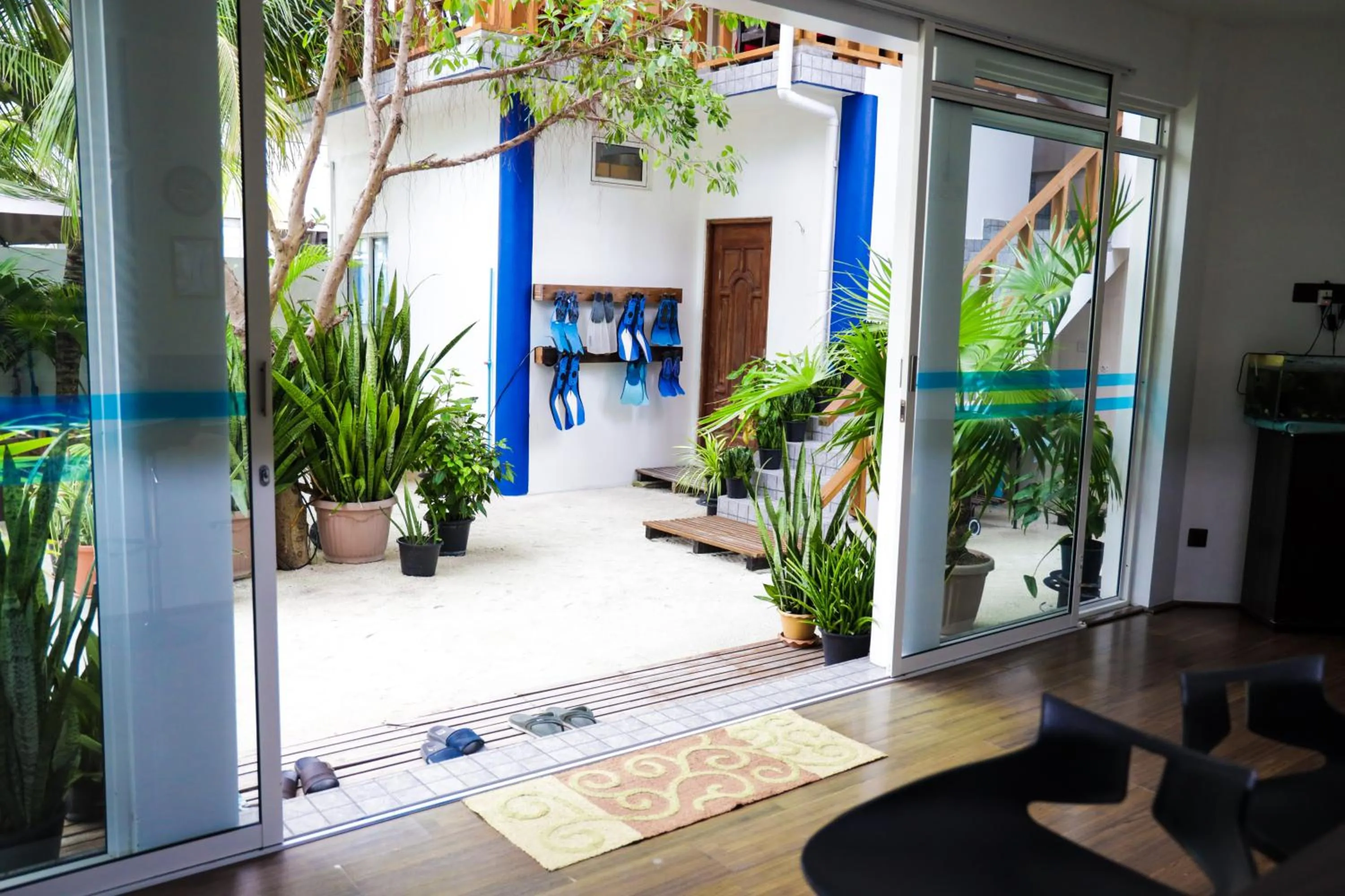 Snorkeling in Palm Residence