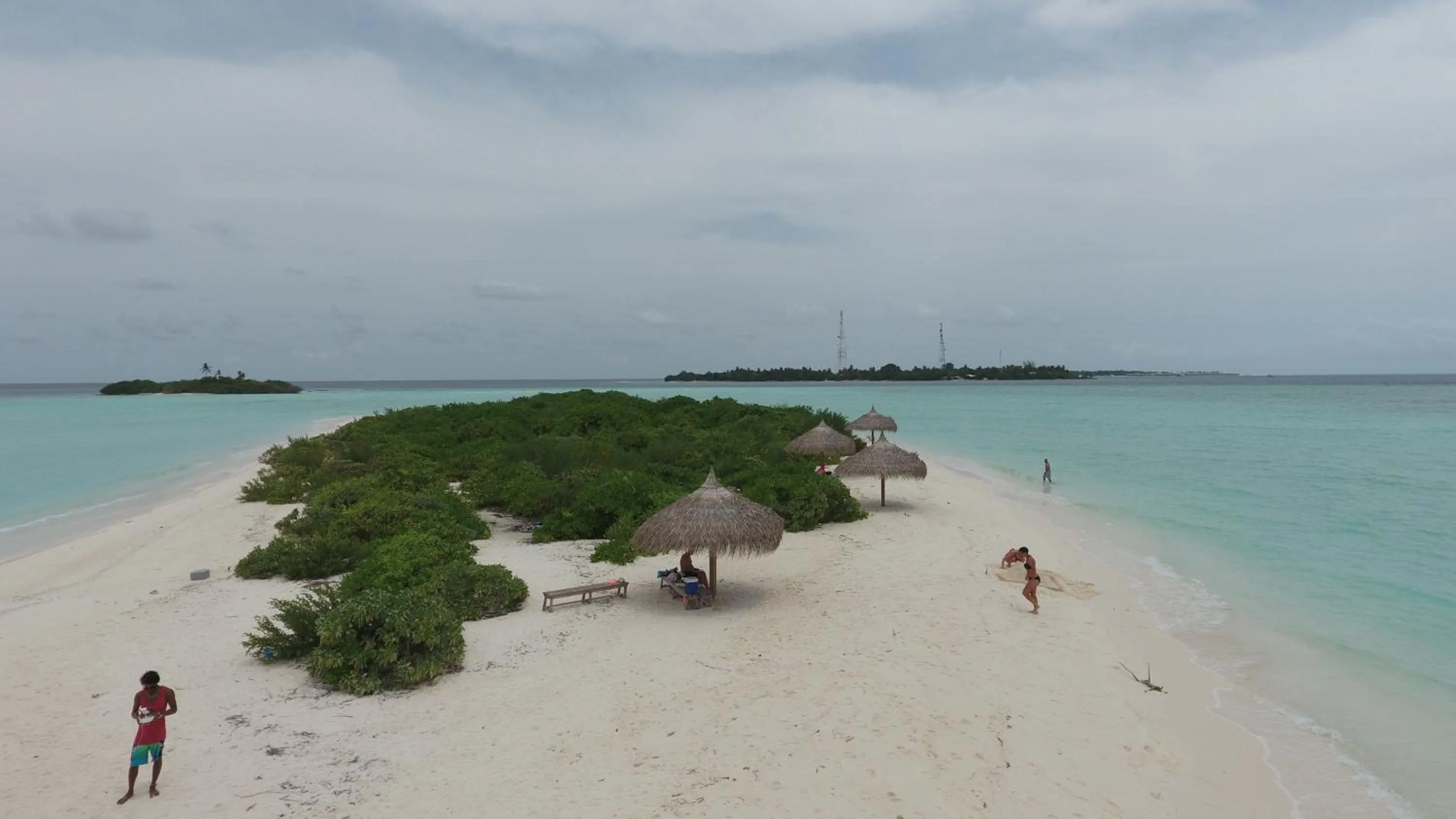 Natural landscape in Palm Residence