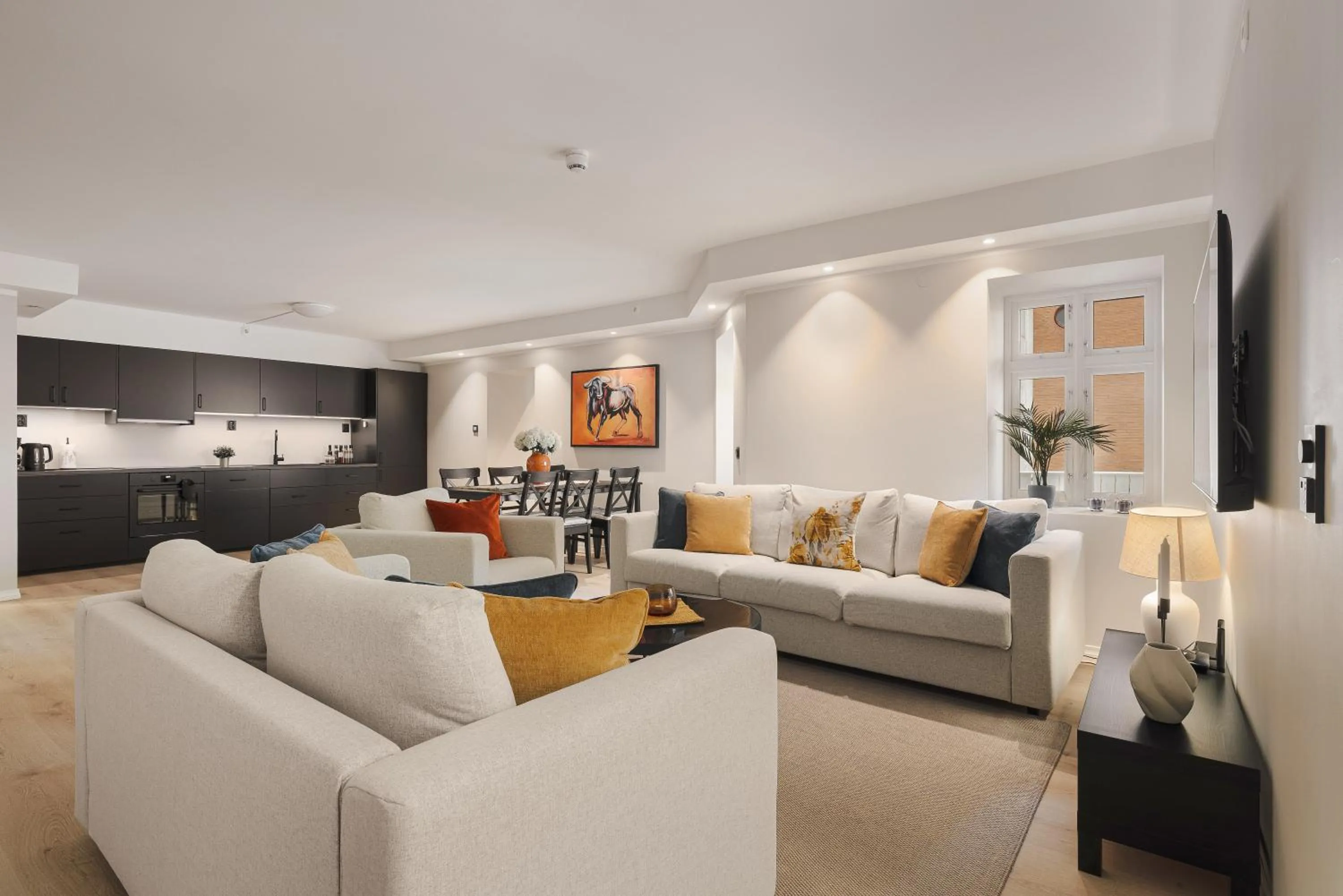 TV and multimedia in Rosenberg Apartments