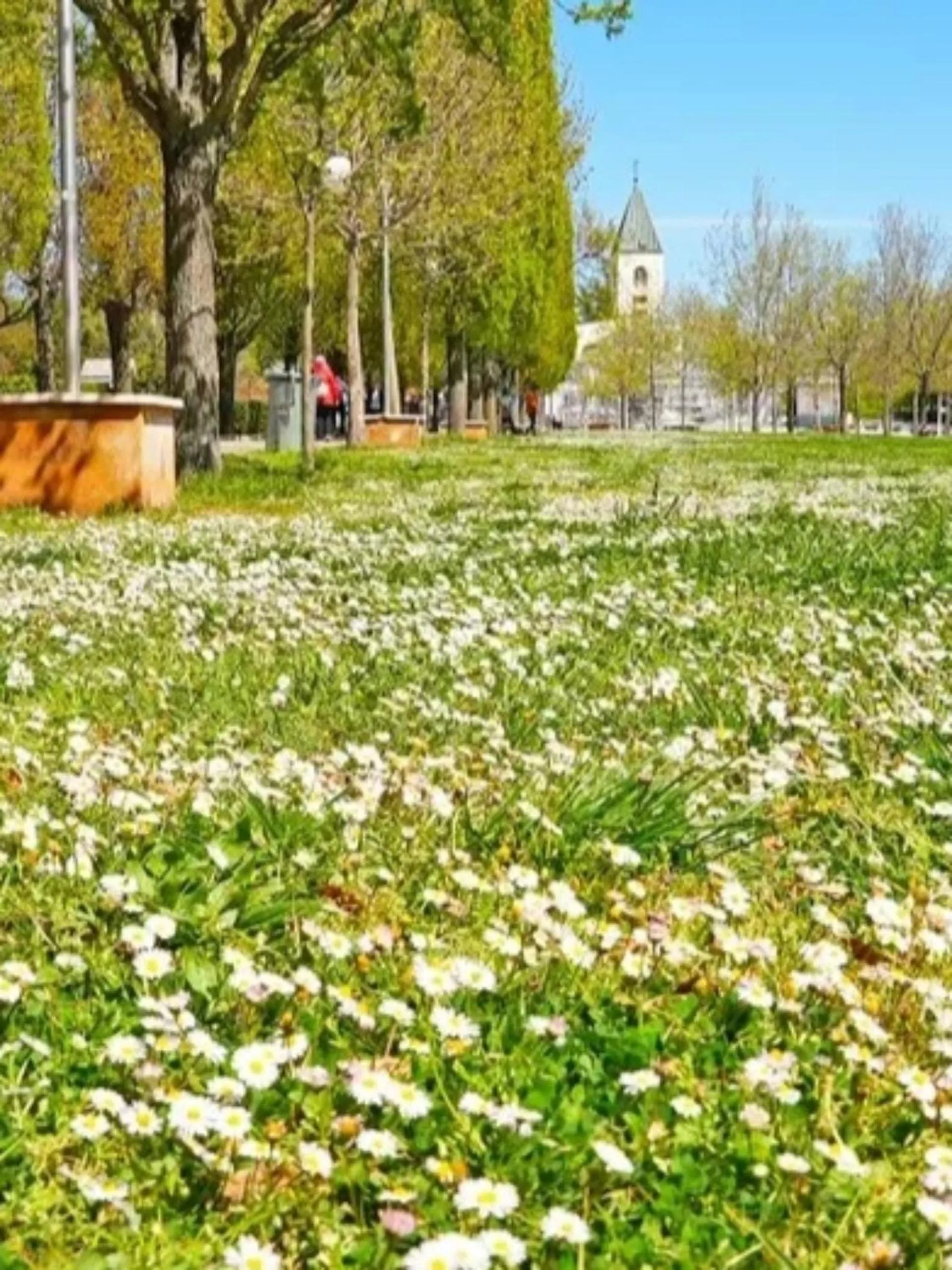 Pansion Ana Medjugorje