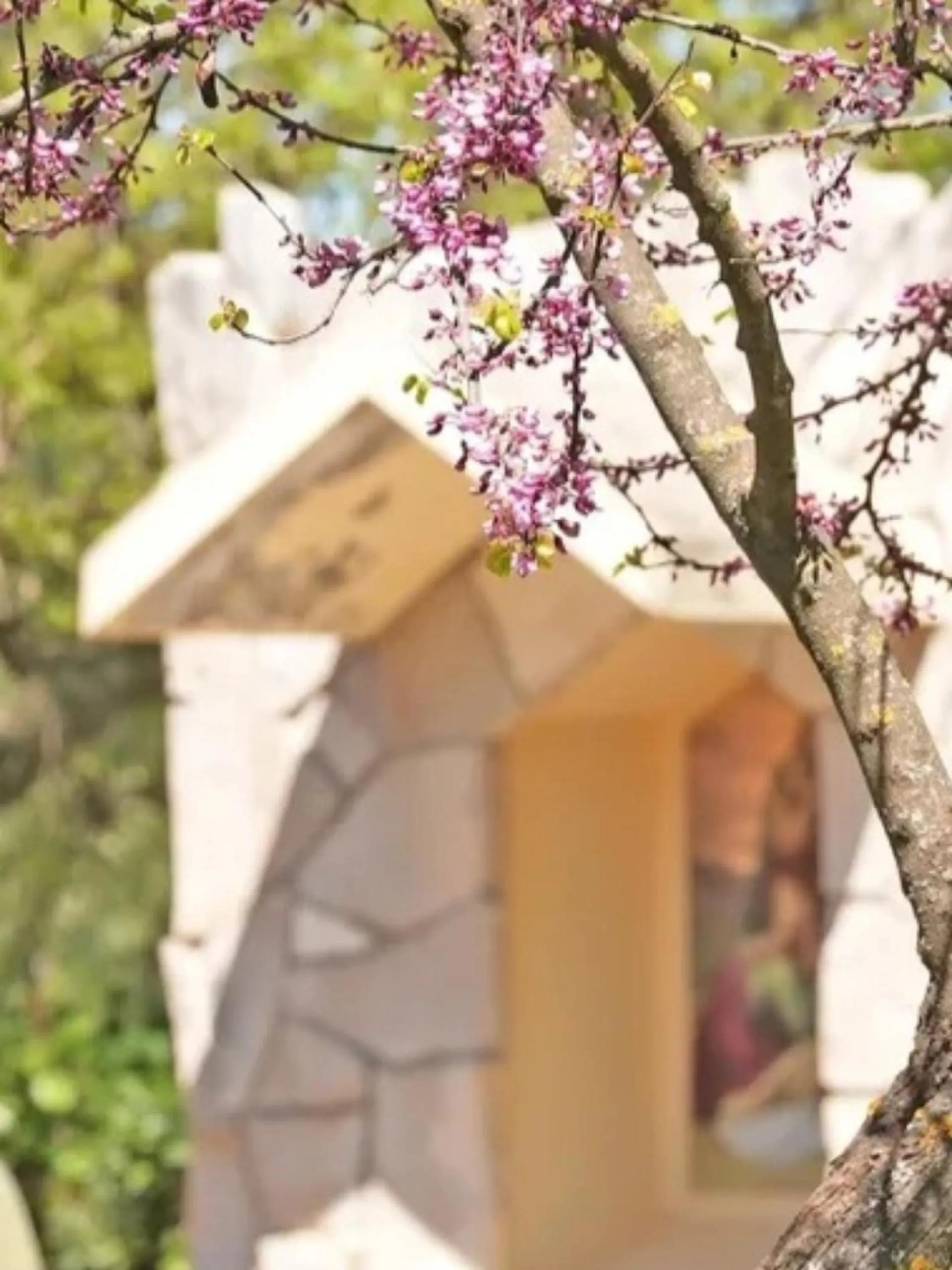 Pansion Ana Medjugorje