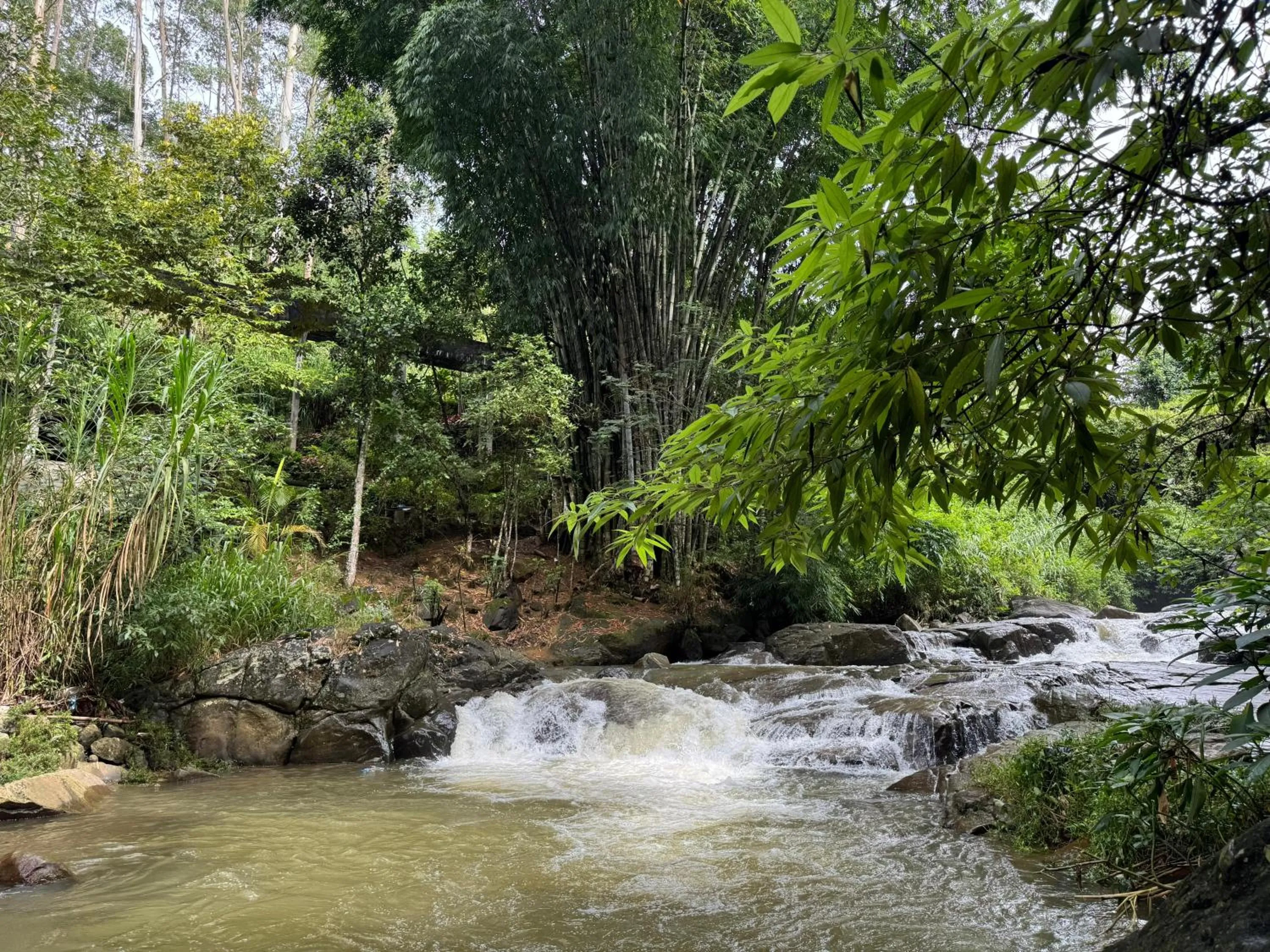 River view in Rock View Rest Hatton