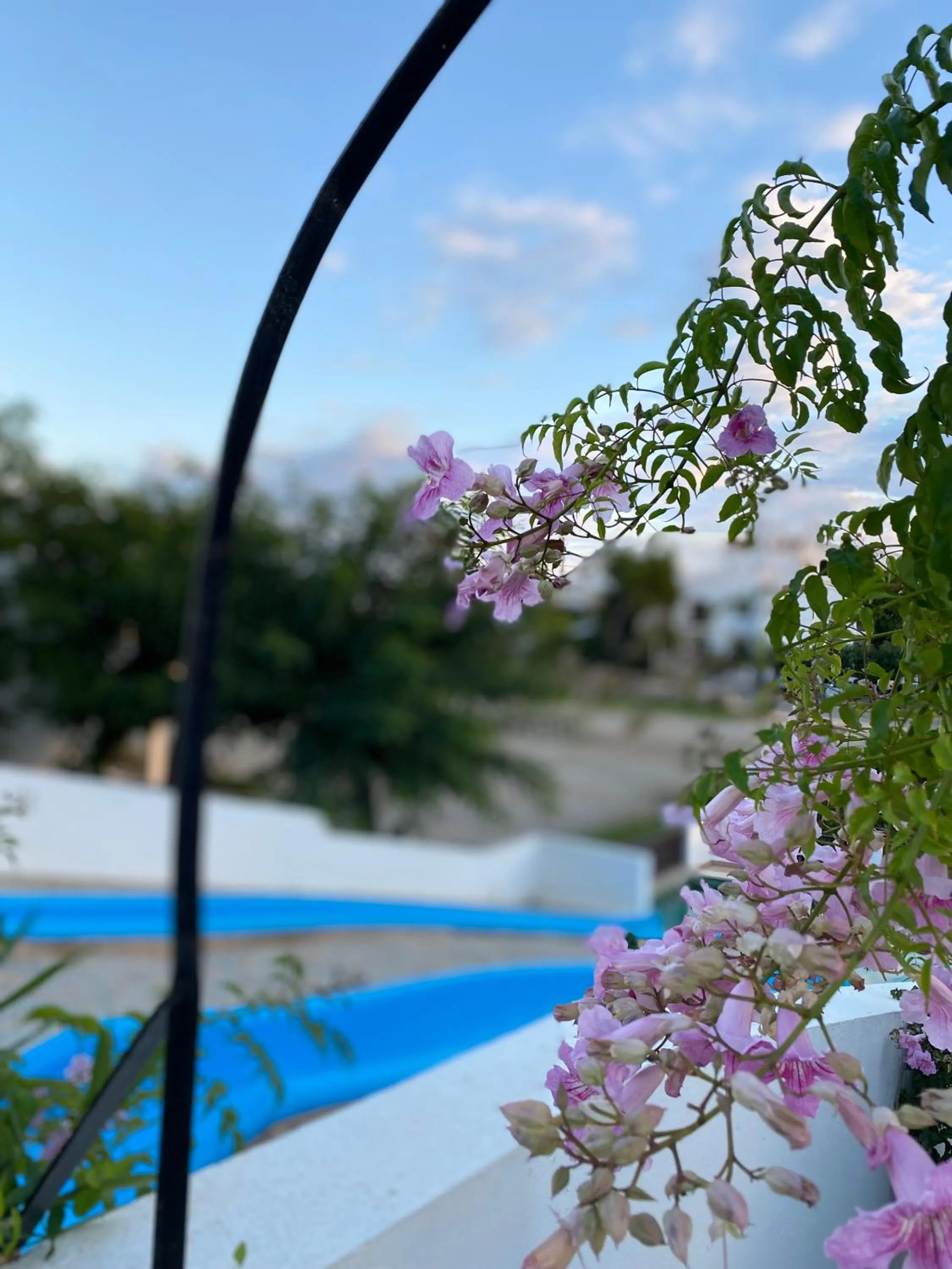 Property building in Siesta Mar Apartamentos