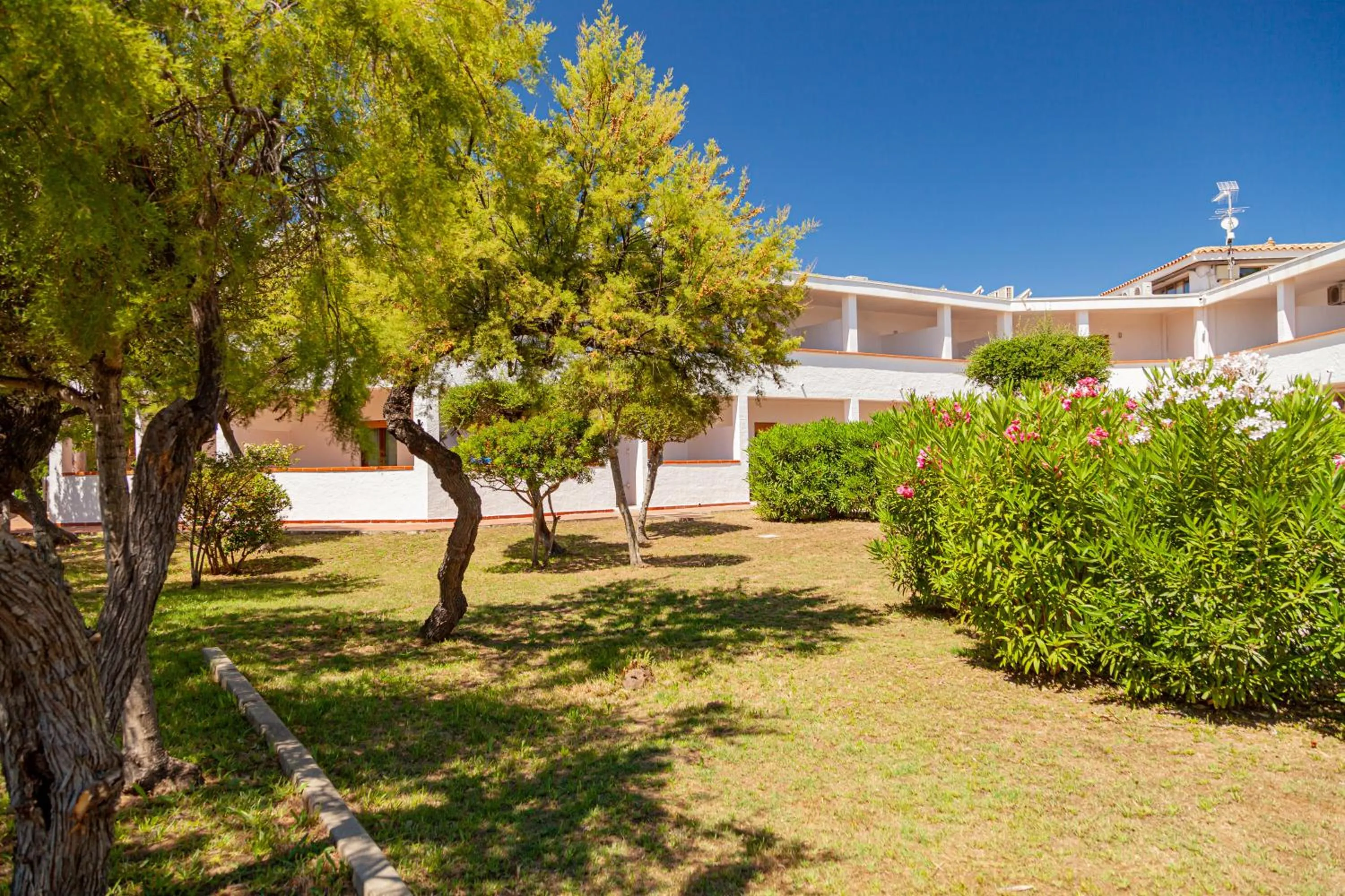 Garden in Hotel Mare Blue