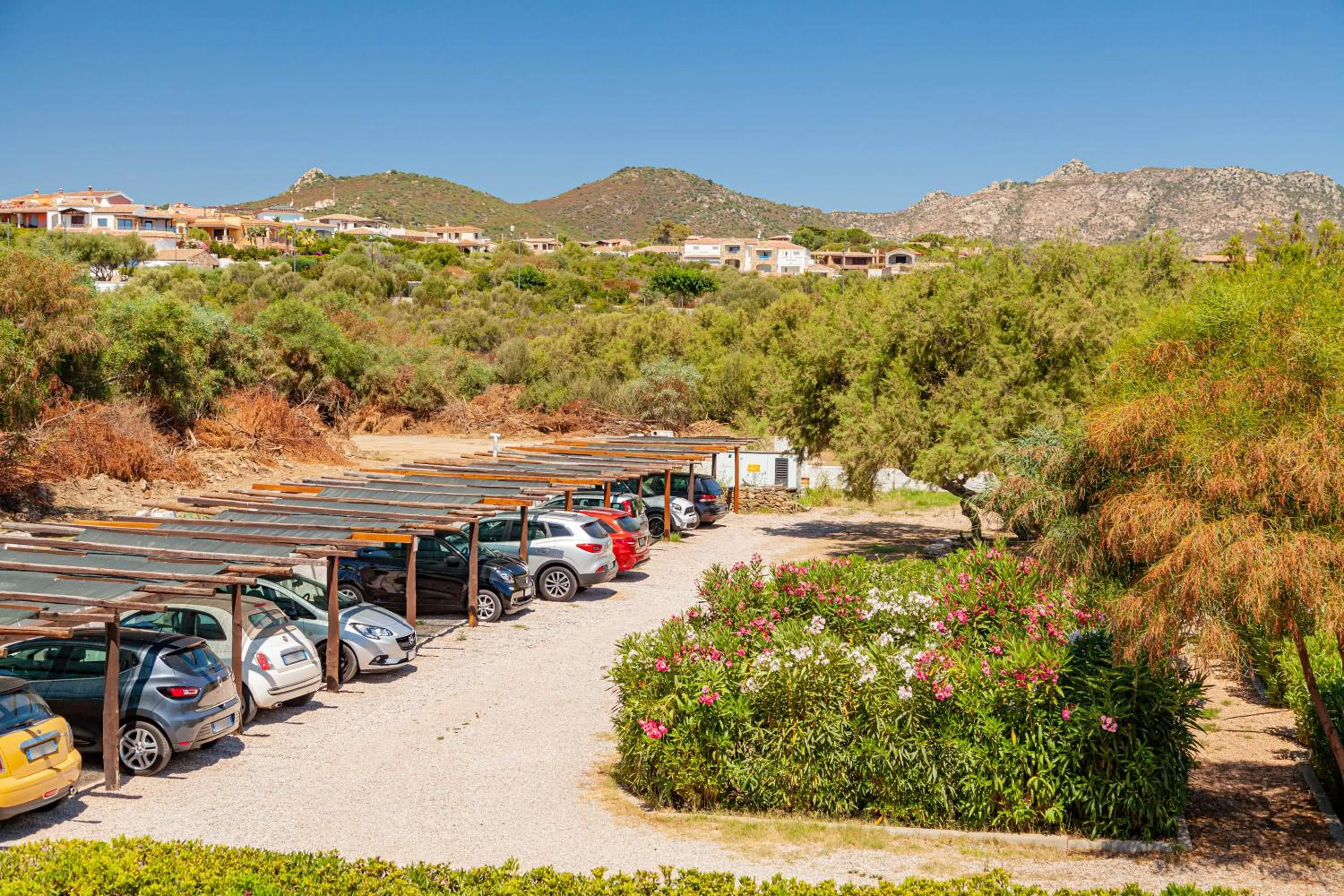 Area and facilities in Hotel Mare Blue