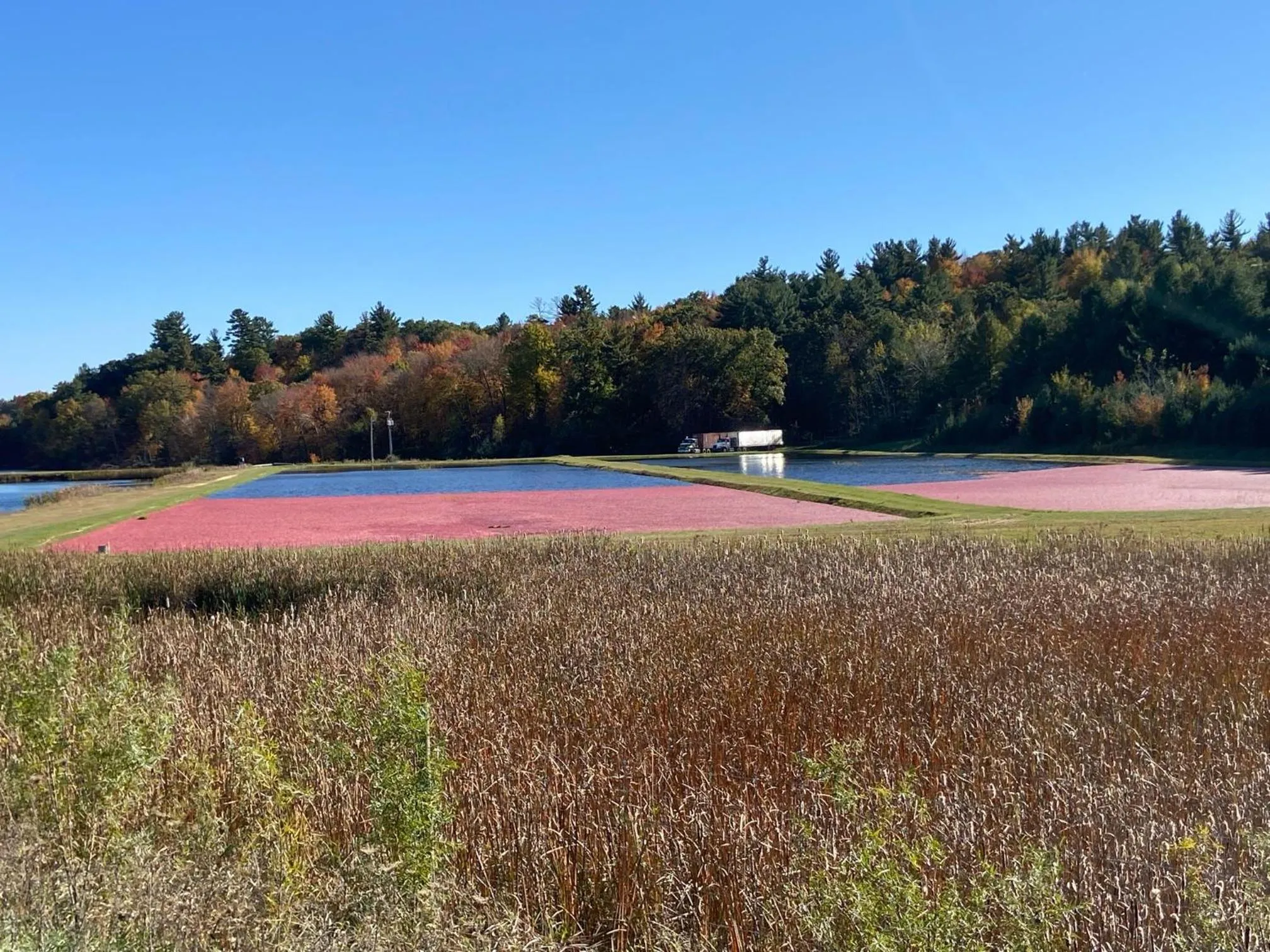 Property building in Three Bears Resort Waterpark Near Tomah Ascend Collection