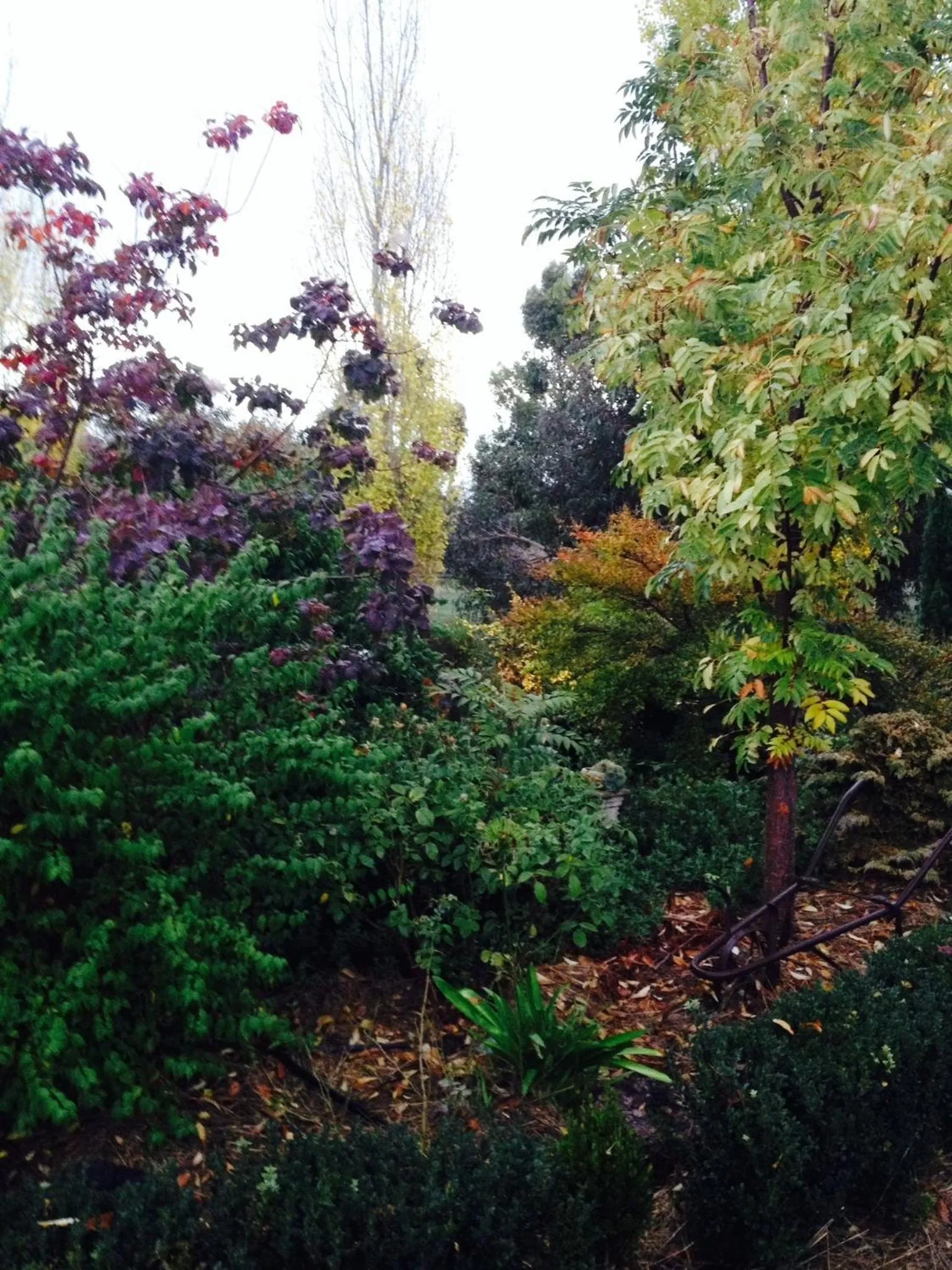 Spring in Pierrepoint Accommodation