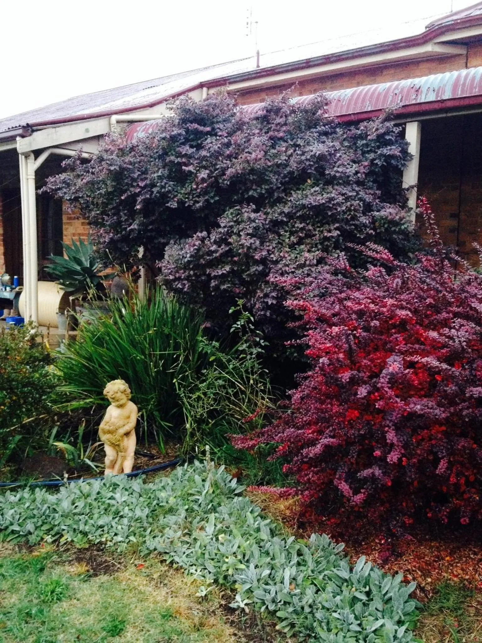 Garden in Pierrepoint Accommodation