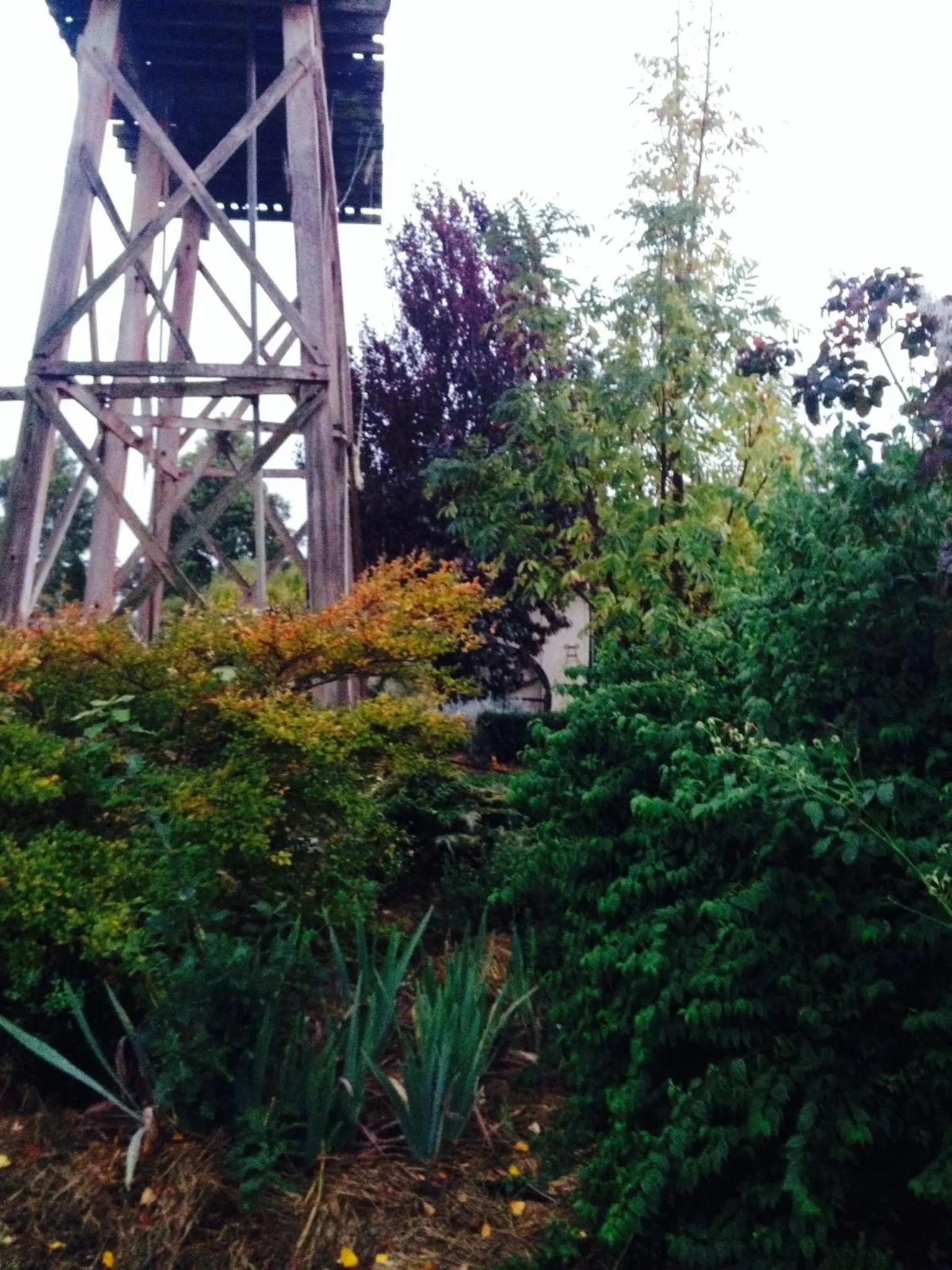 Garden in Pierrepoint Accommodation
