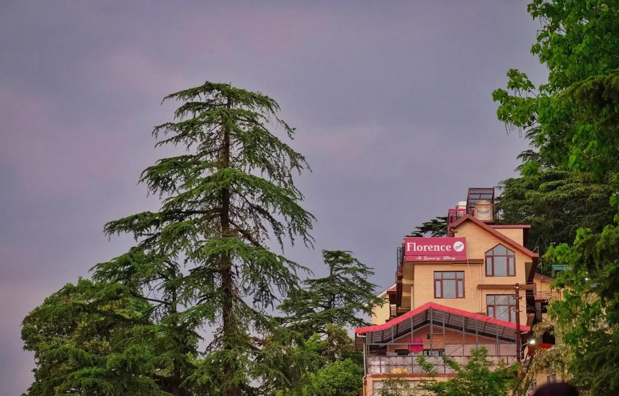 Florence B&B Near Mall Road - Amazing Valley View Florence B&B Near Mall Road - Amazing Valley View