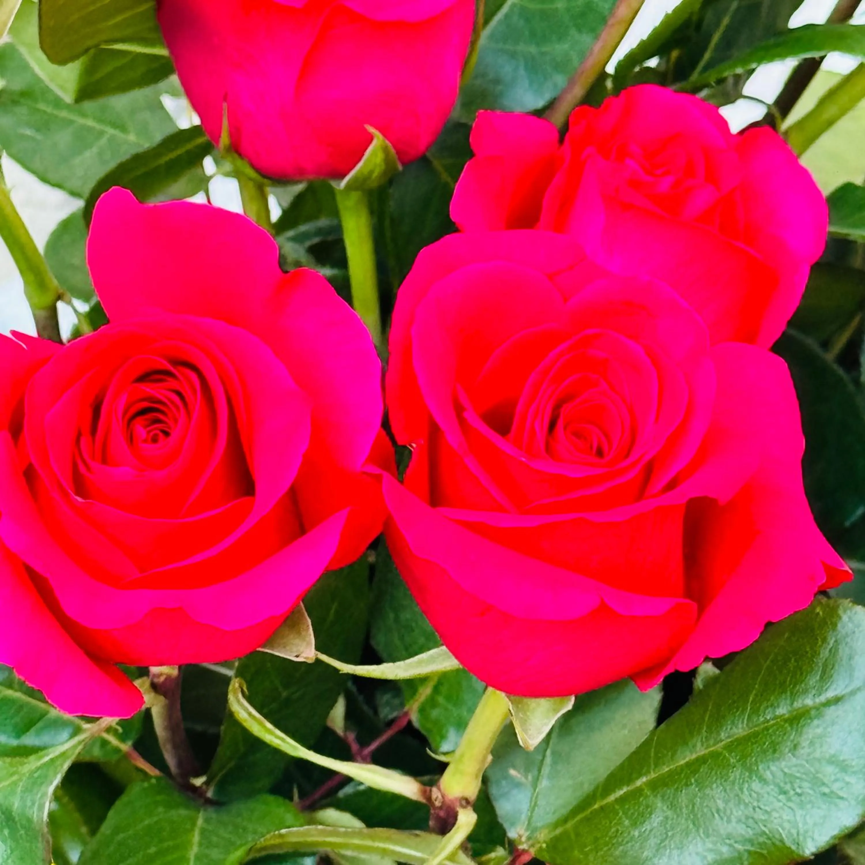 B&B Corte sul Naviglio CIN I T 0 1 5 0 7 0 C 1 3 X U I L Q C V