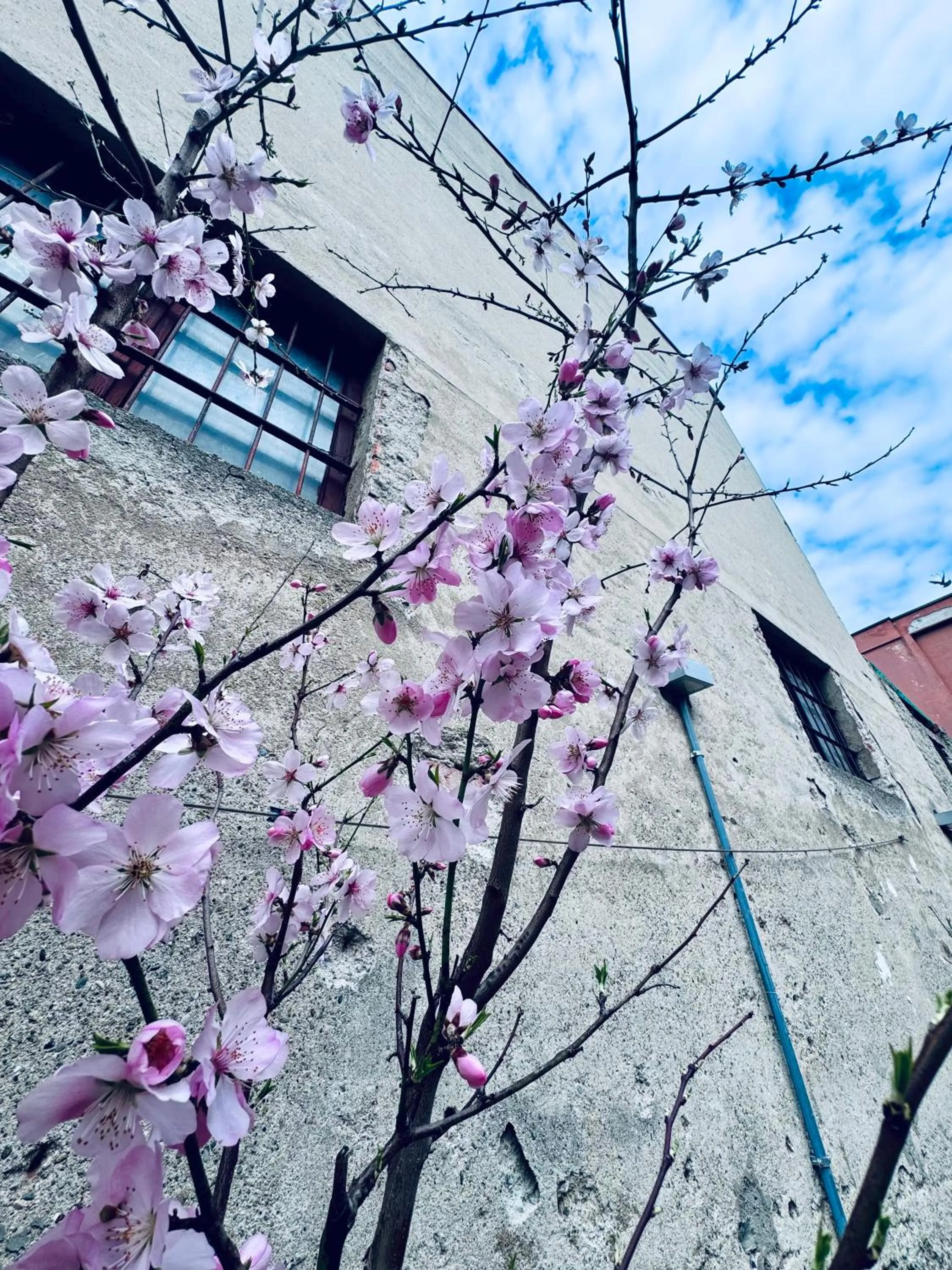 B&B Corte sul Naviglio CIN I T 0 1 5 0 7 0 C 1 3 X U I L Q C V