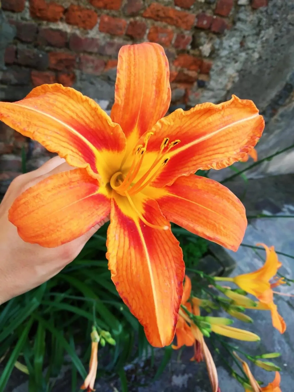 On site in B&B Corte sul Naviglio CIN I T 0 1 5 0 7 0 C 1 3 X U I L Q C V