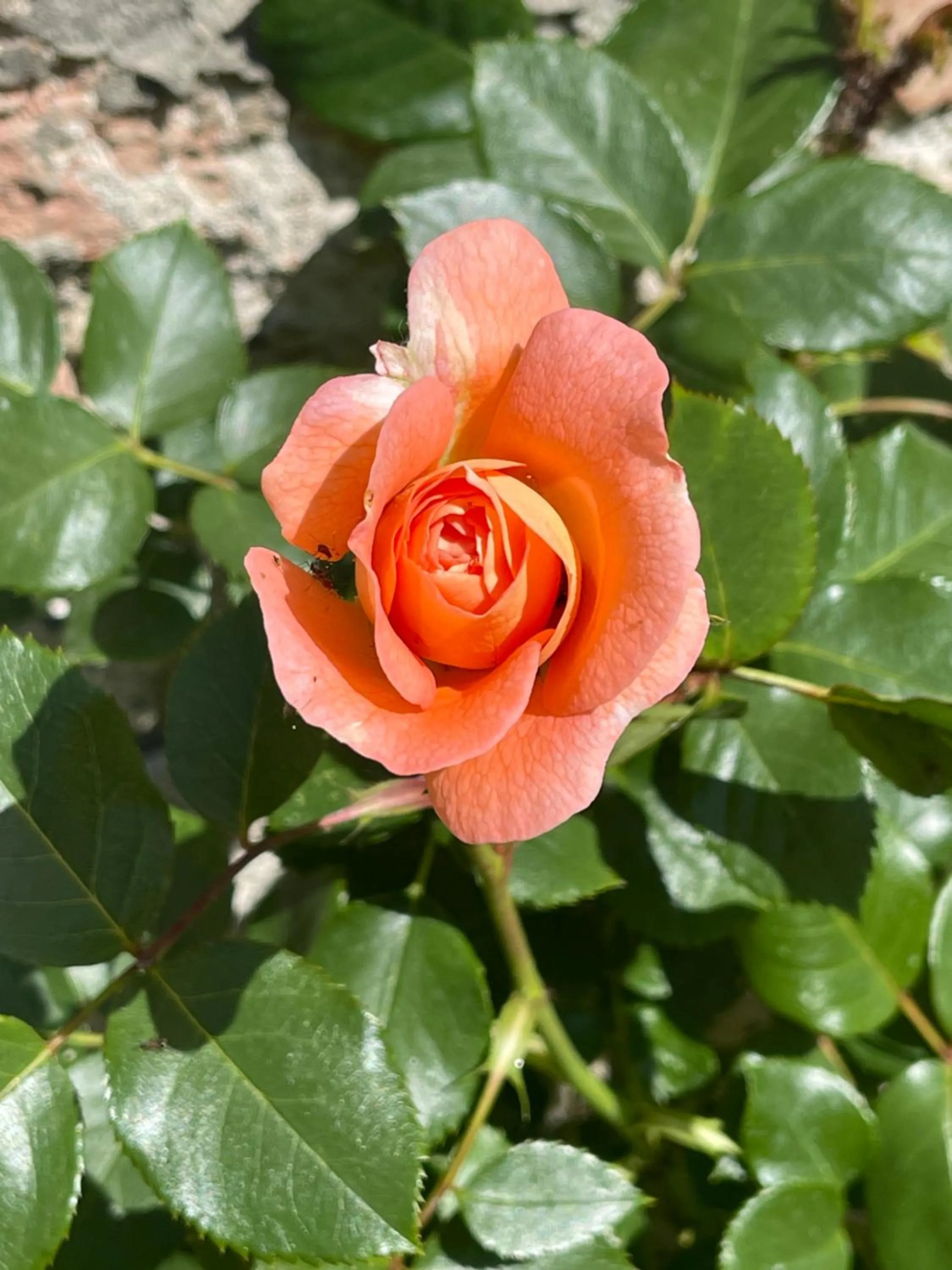 B&B Corte sul Naviglio CIN I T 0 1 5 0 7 0 C 1 3 X U I L Q C V