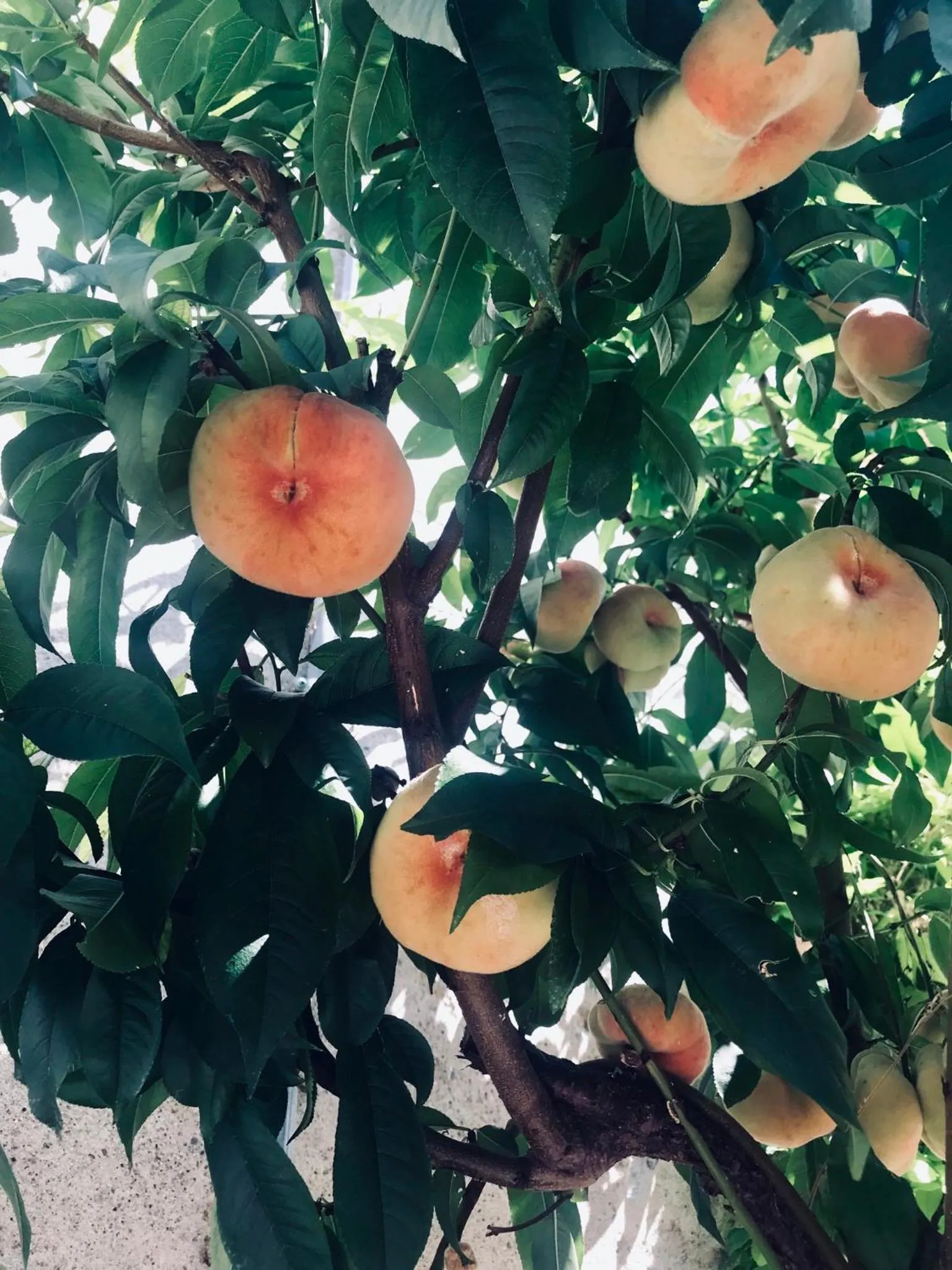 On site in B&B Corte sul Naviglio CIN I T 0 1 5 0 7 0 C 1 3 X U I L Q C V