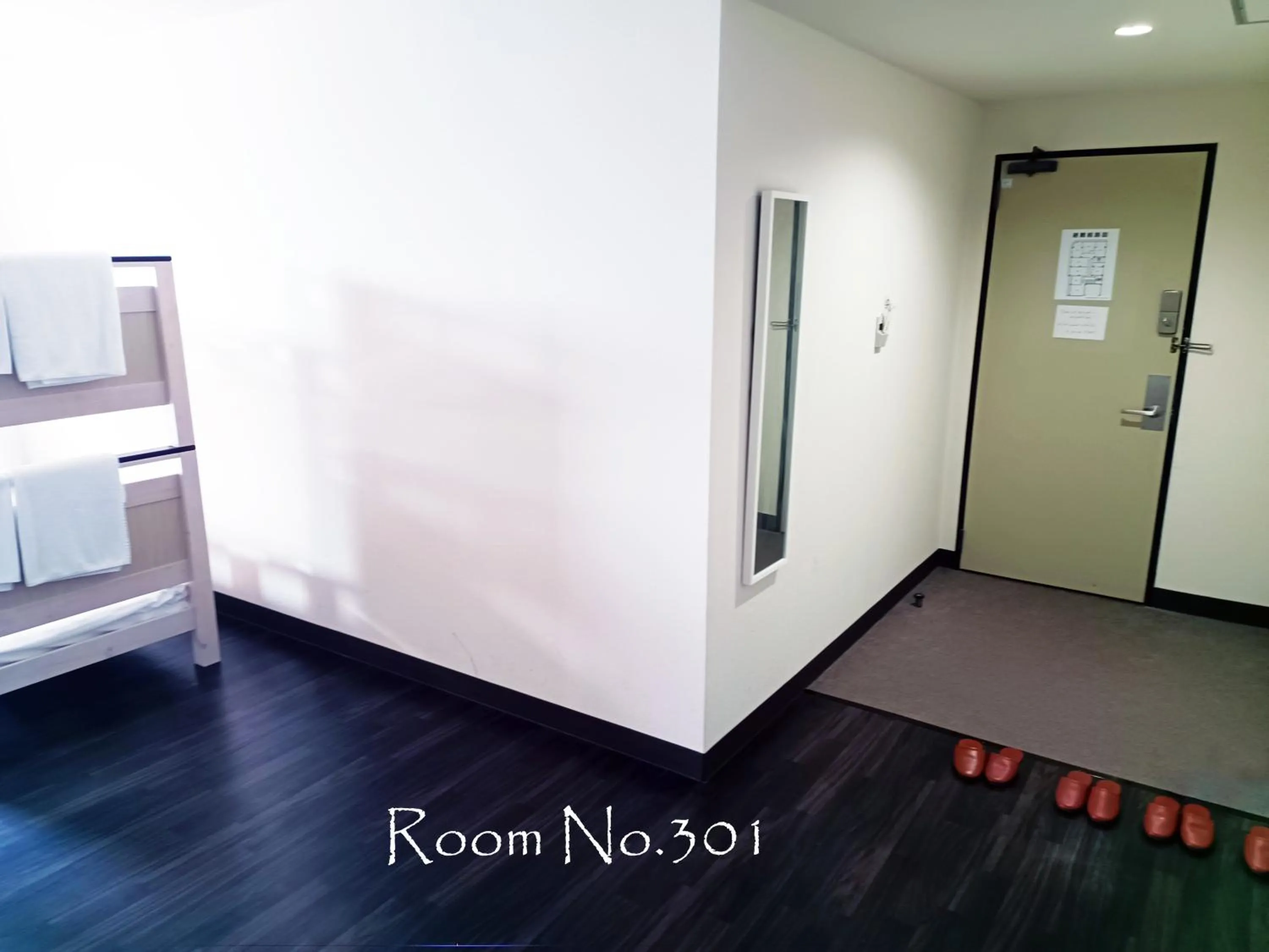 Ace Inn Asakusa