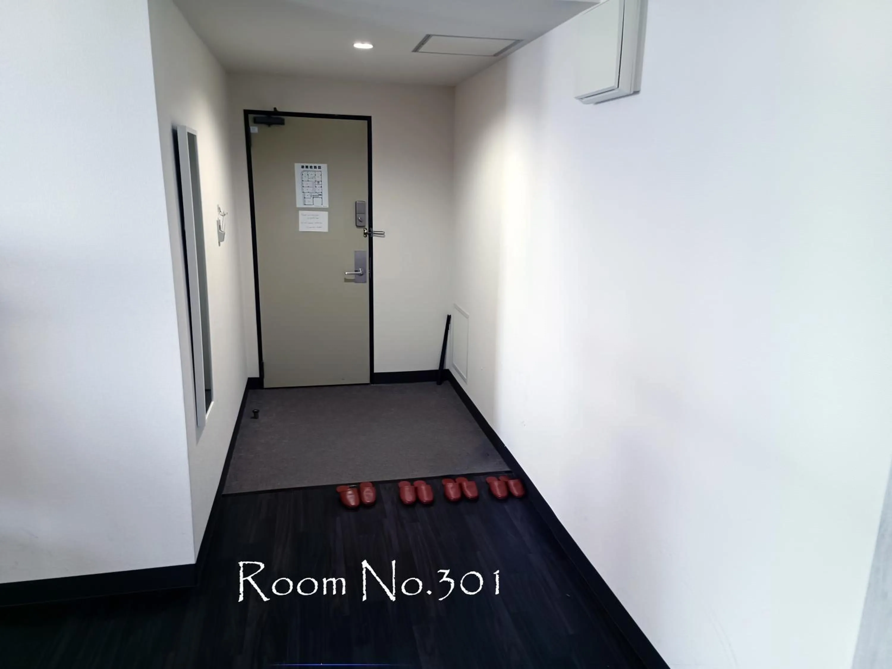 Ace Inn Asakusa