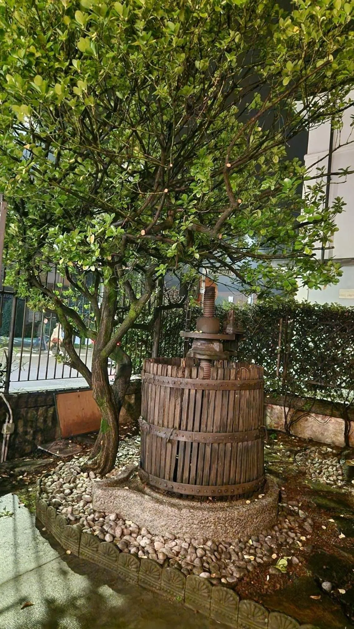 Villa Cavalleri