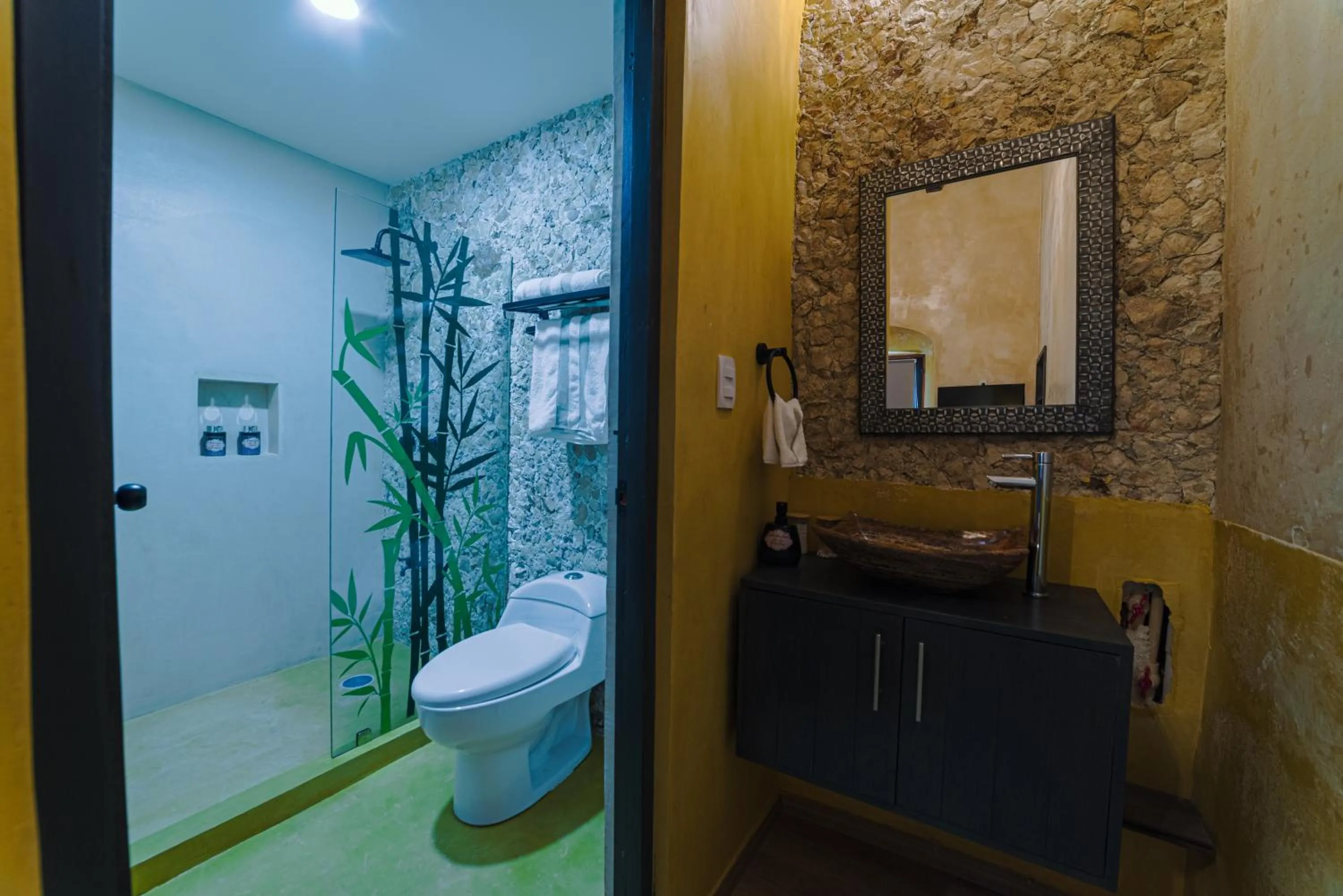 Bathroom in Hotel Boutique Casa Lanz XVII