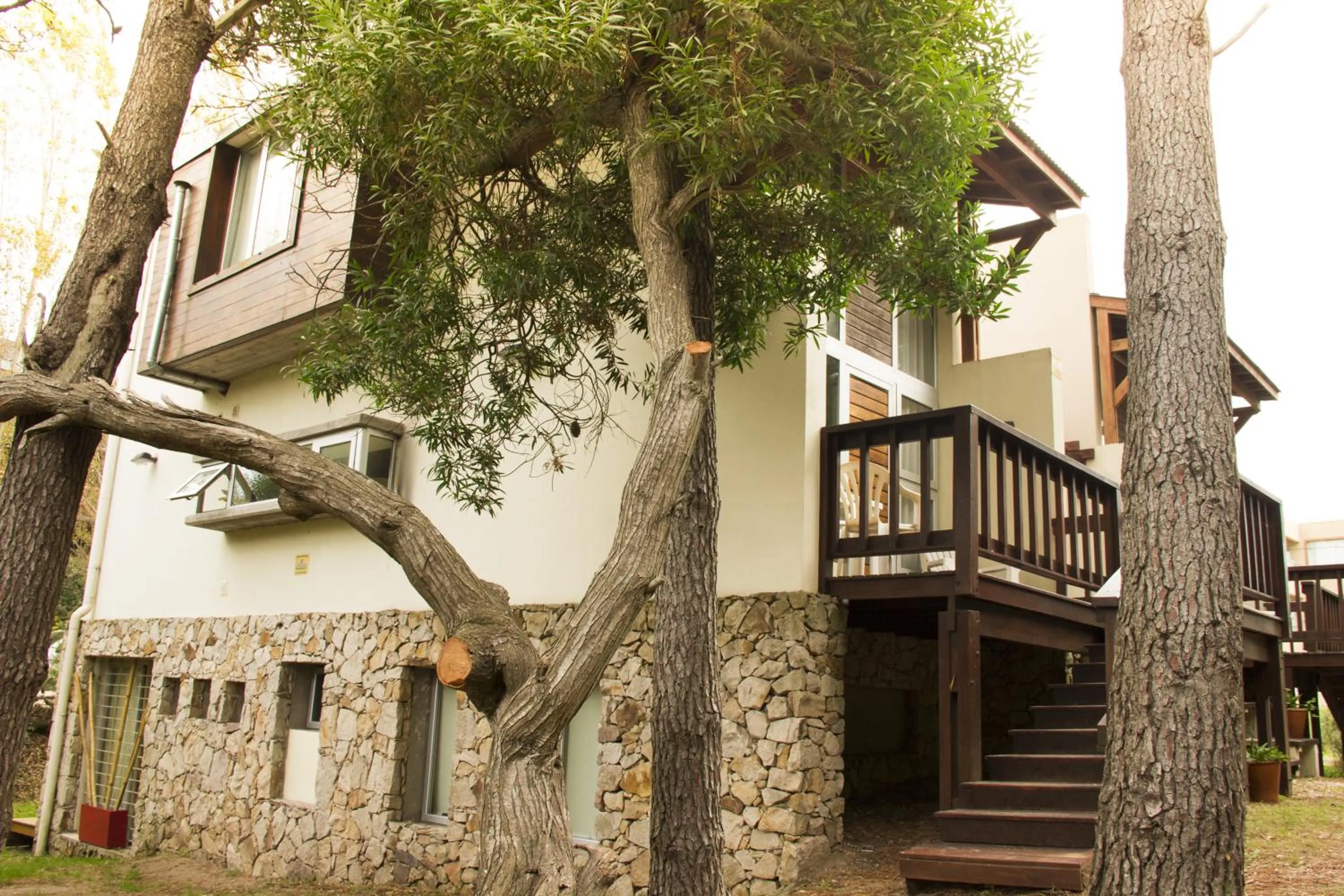 Property building in Cabañas Sottobosco