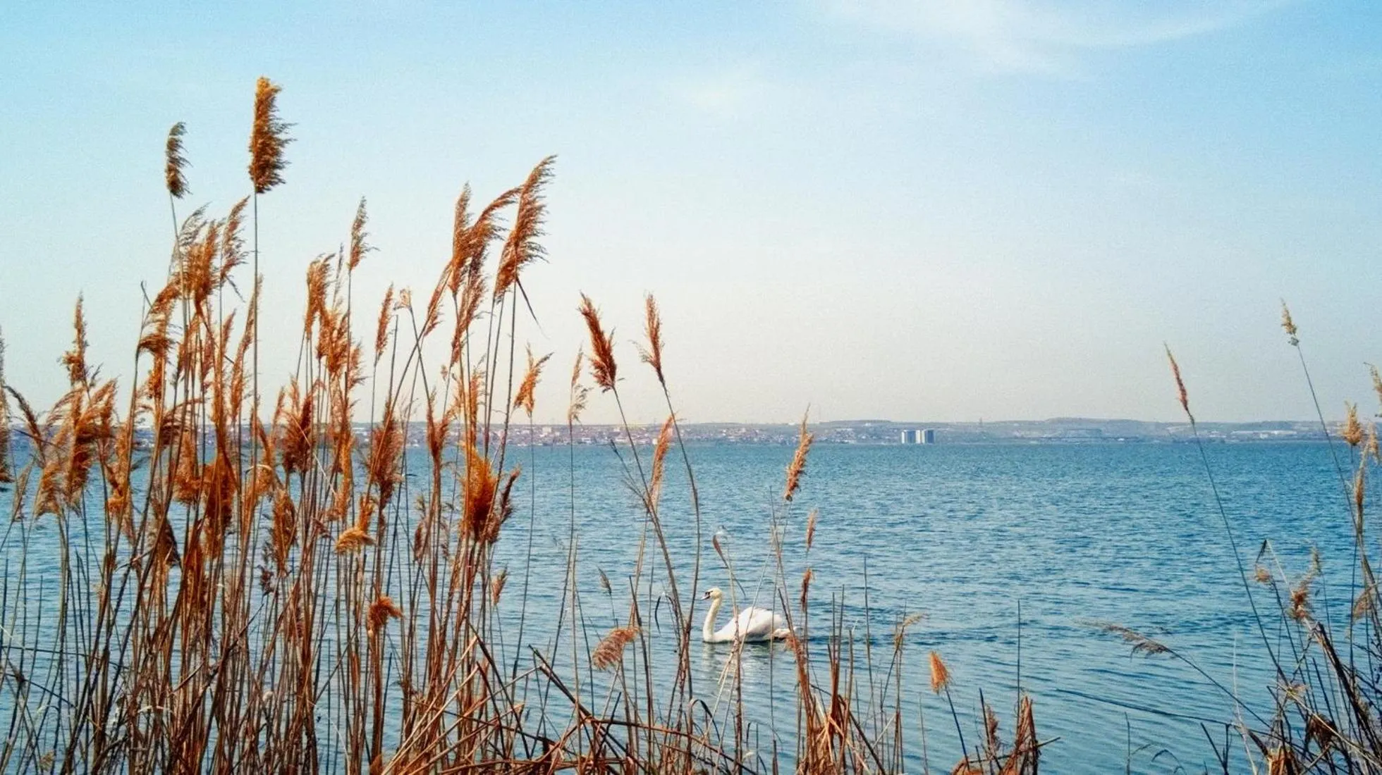 Property building in Hotel Scandinavia