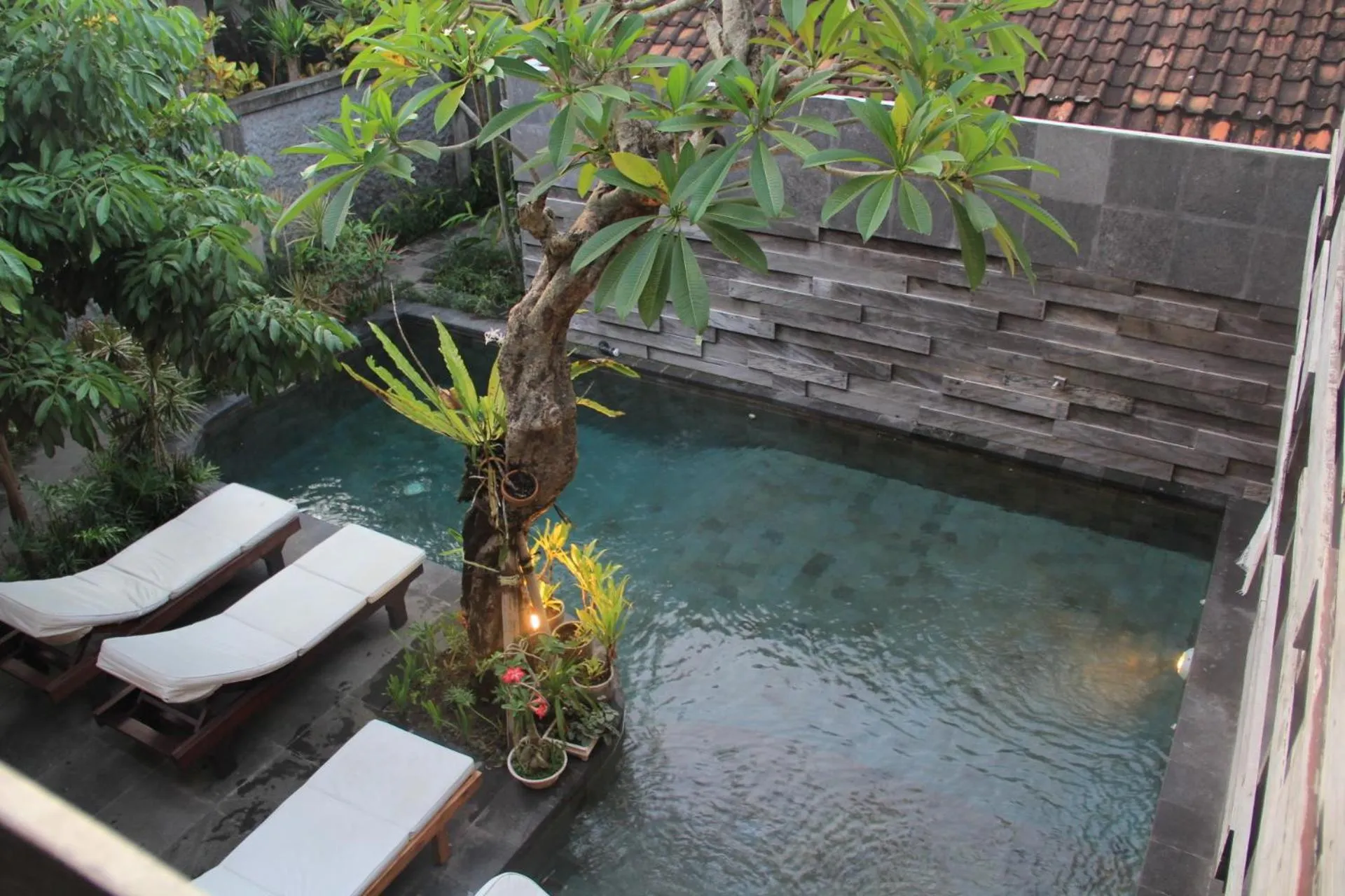 Swimming pool in Semarandana Bedrooms and Pool