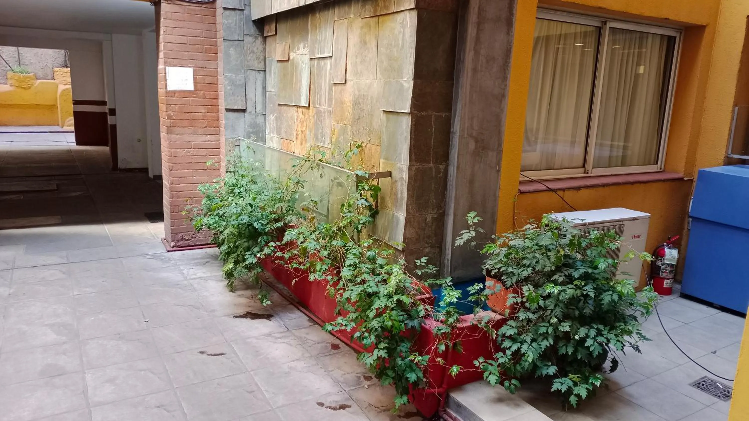 Property building in San lorenzo apart